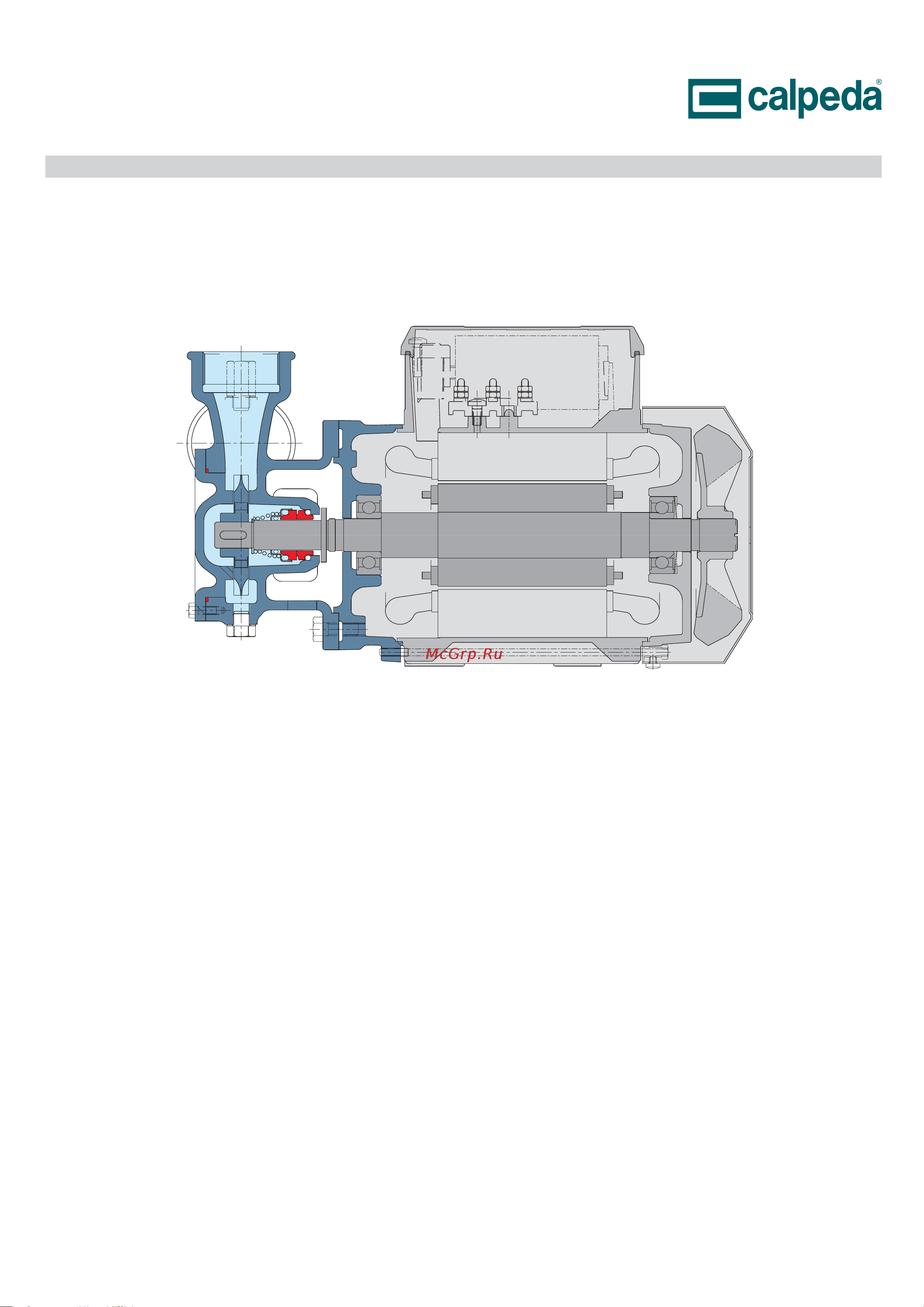 CALPEDA T 125/B 400/690/50 Hz 70000133000 Расширенное описание онлайн [6/6] 865555