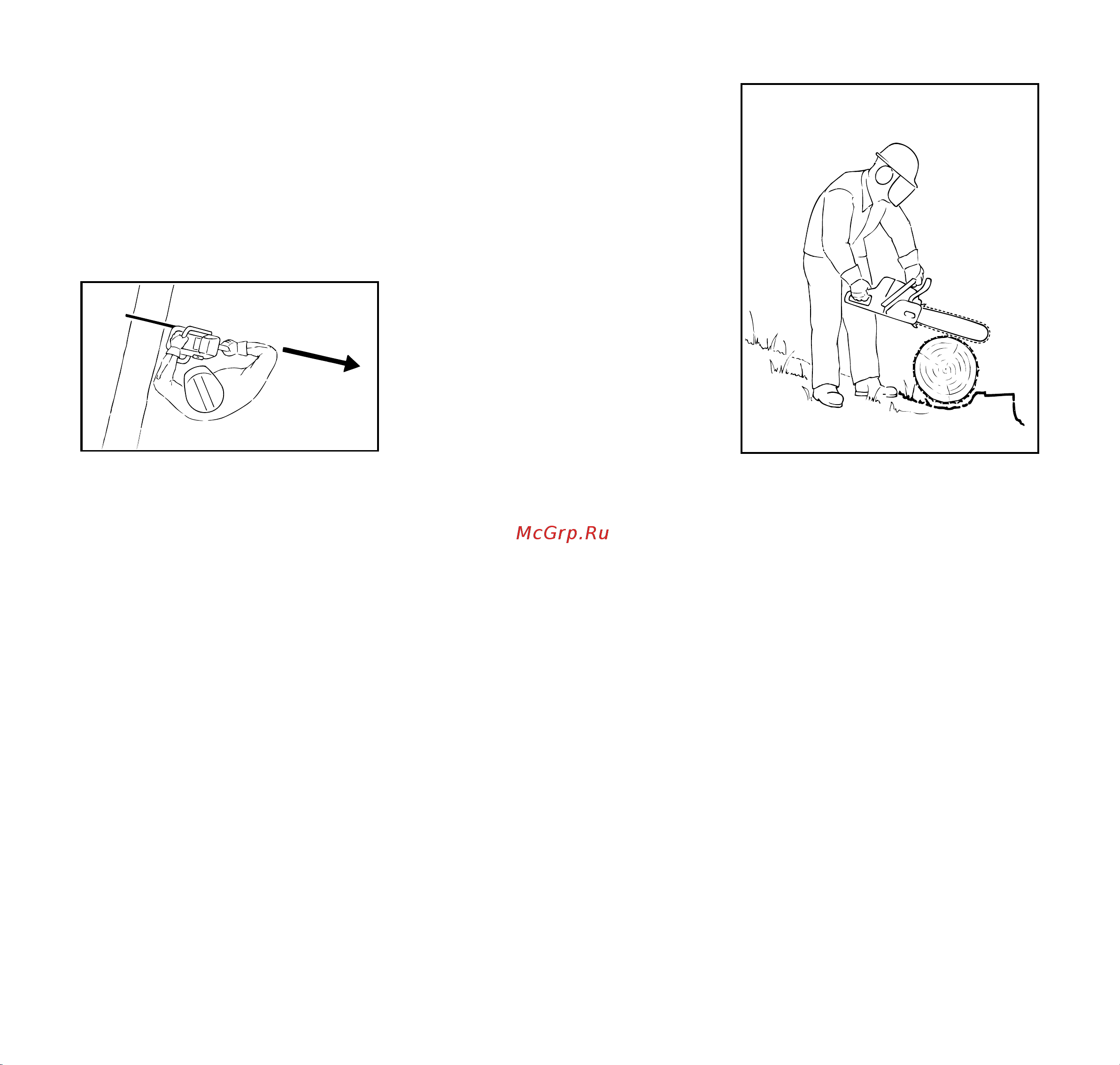 Stihl MSE250 С-Q 18