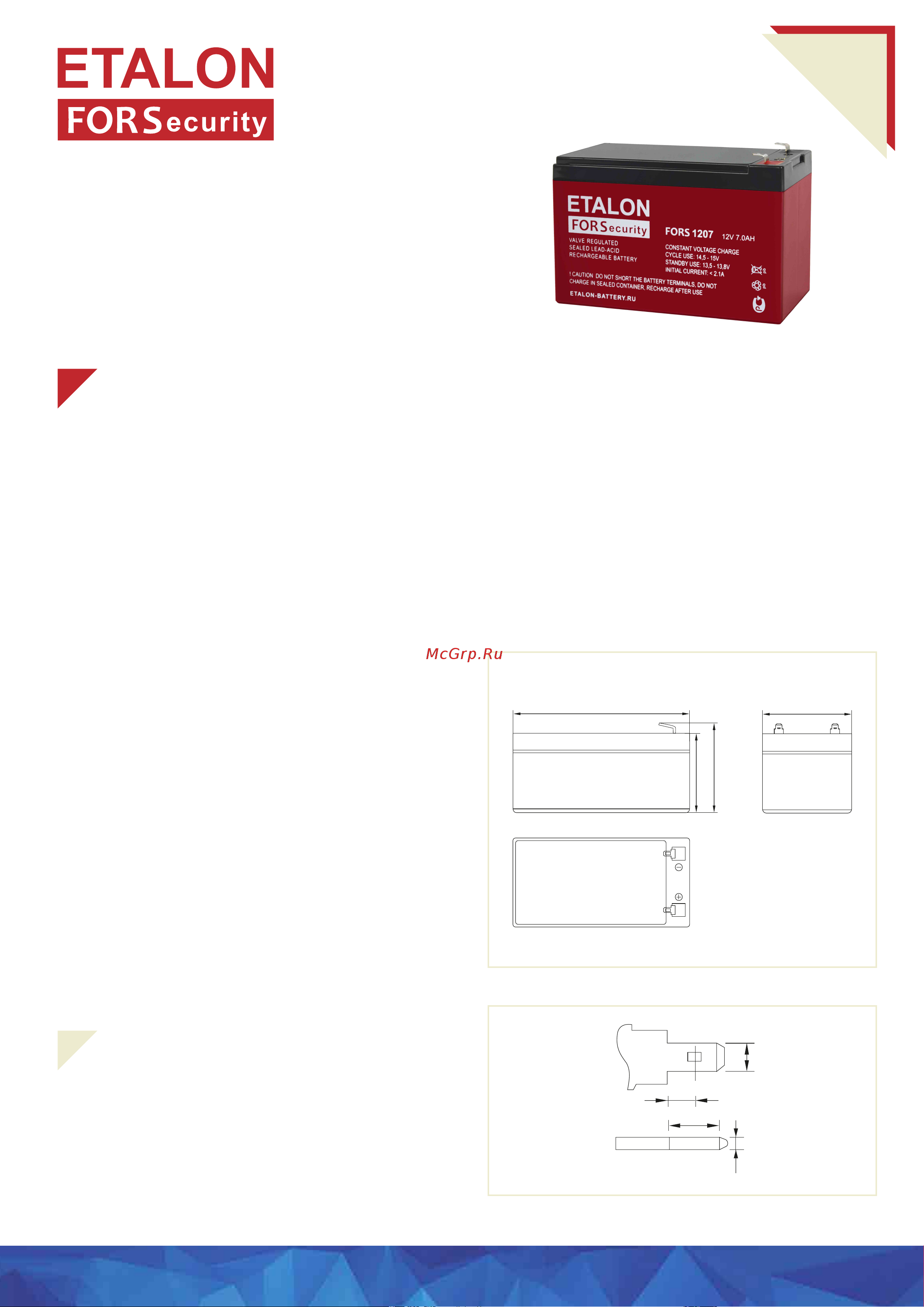 Etalon Battery 00-00006432 спецификация онлайн