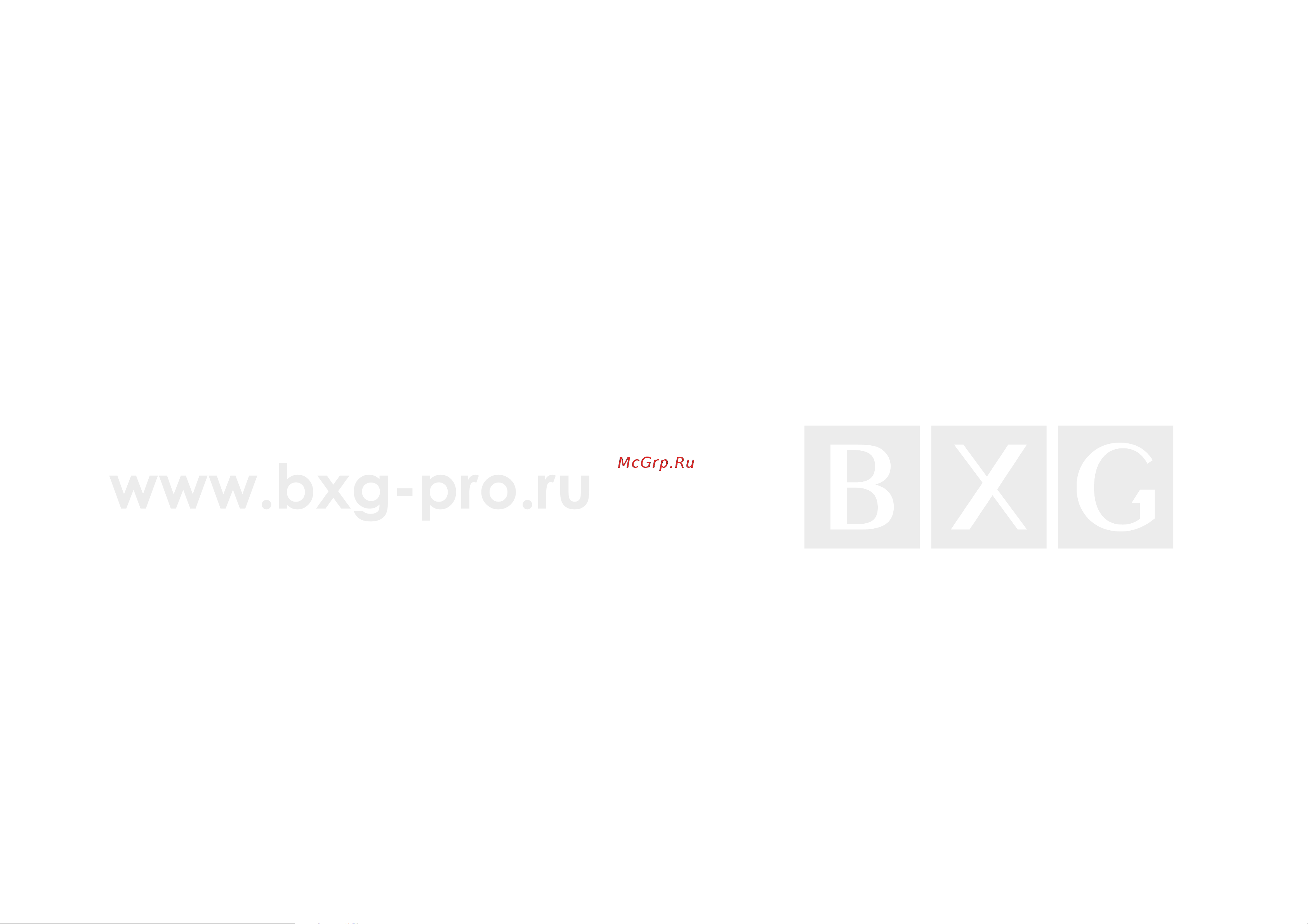 BXG 1600 Н1 1748575 Инструкция онлайн [2/8] 867040