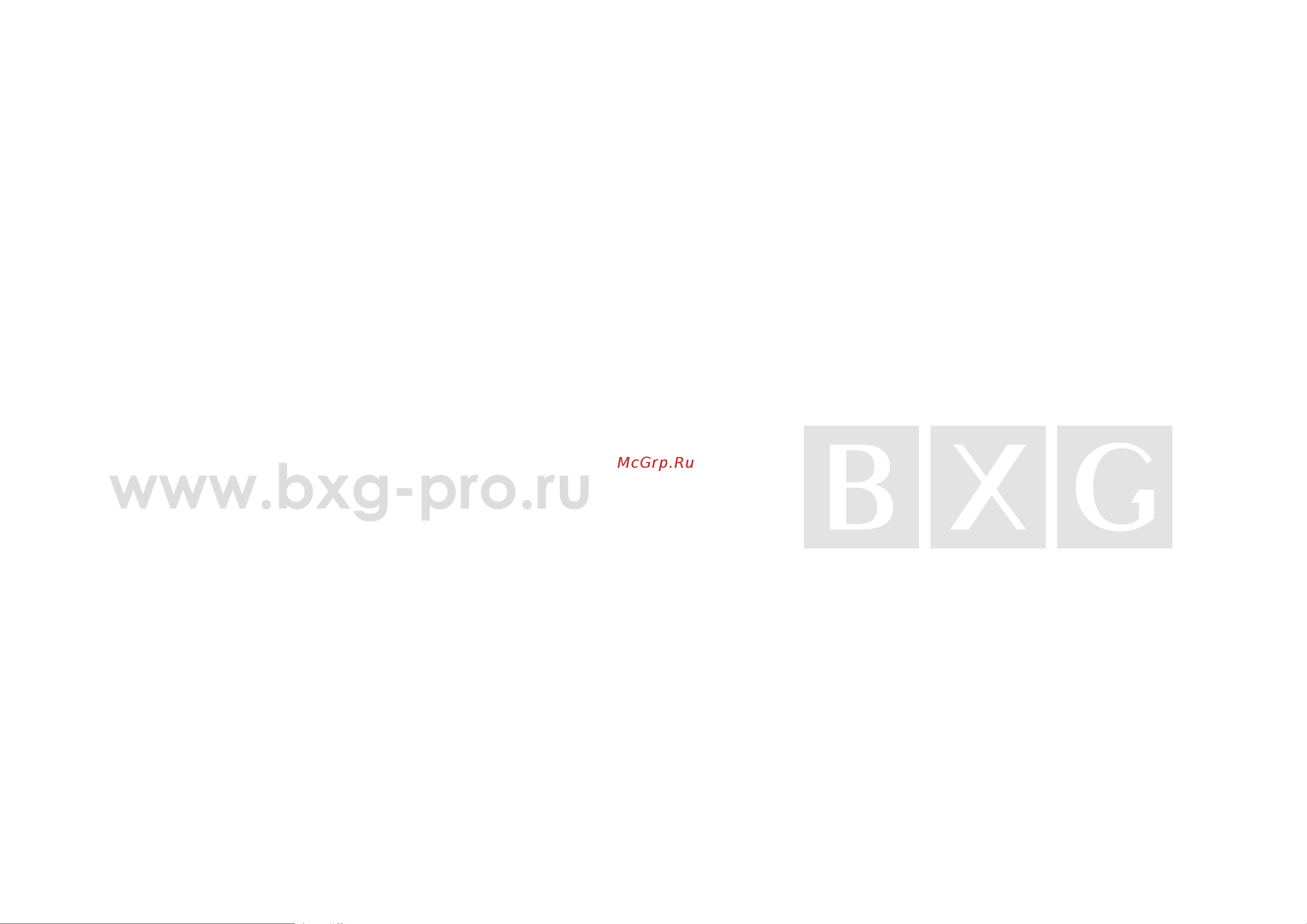BXG 2000 a1 1748051 Инструкция BXG-2000A1 онлайн [2/8] 867043