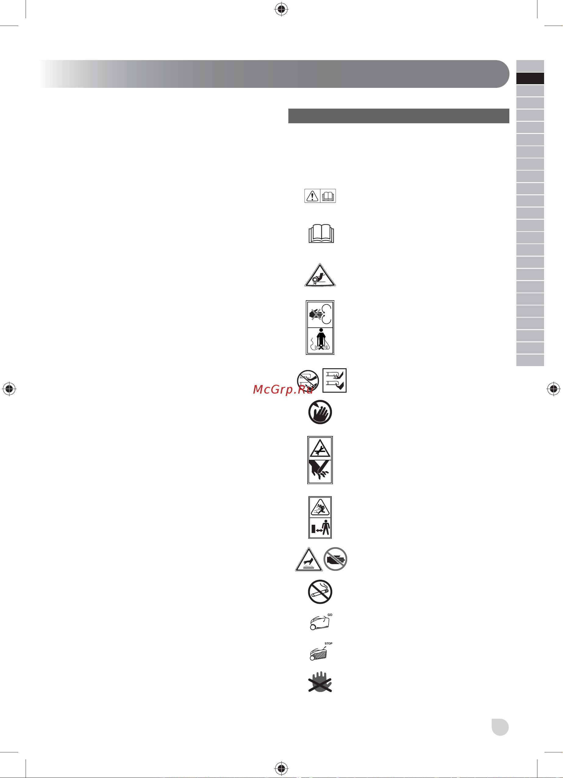 Ryobi RLM46175Y 5133003671 Инструкция к Ryobi RLM46175Y 5133003671 онлайн [17/348] 868087