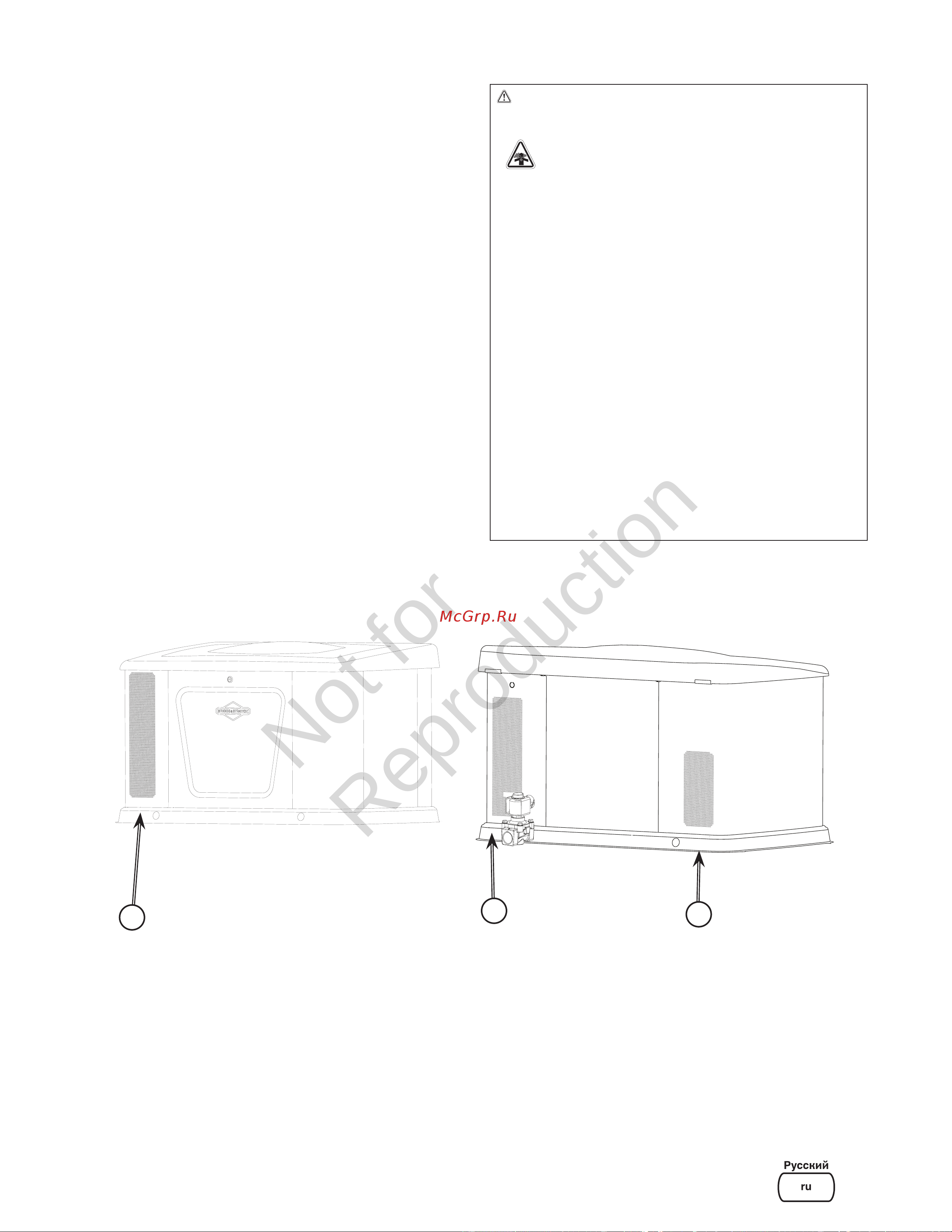 Briggs & Stratton G110 40491 Инструкция к товару онлайн [11/36] 868256