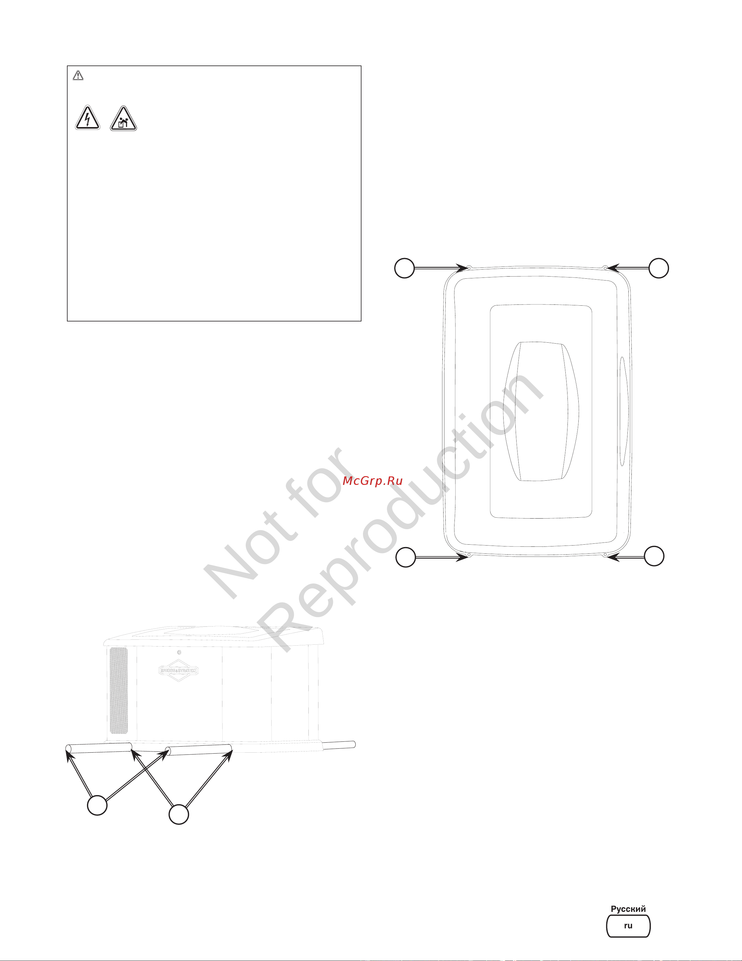 Briggs & Stratton G110 40491 Инструкция к товару онлайн [17/36] 868256