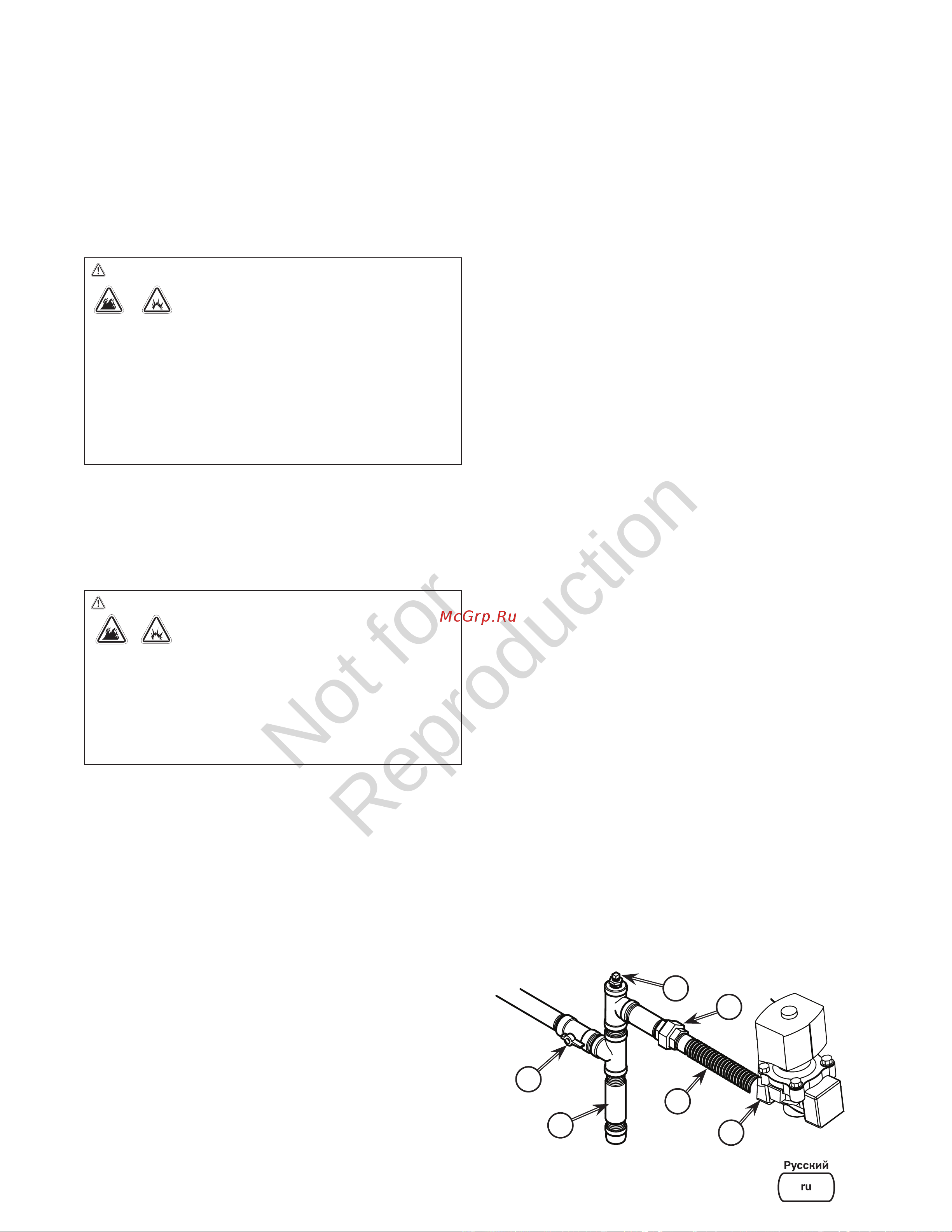 Briggs & Stratton G110 40491 Инструкция к товару онлайн [19/36] 868256