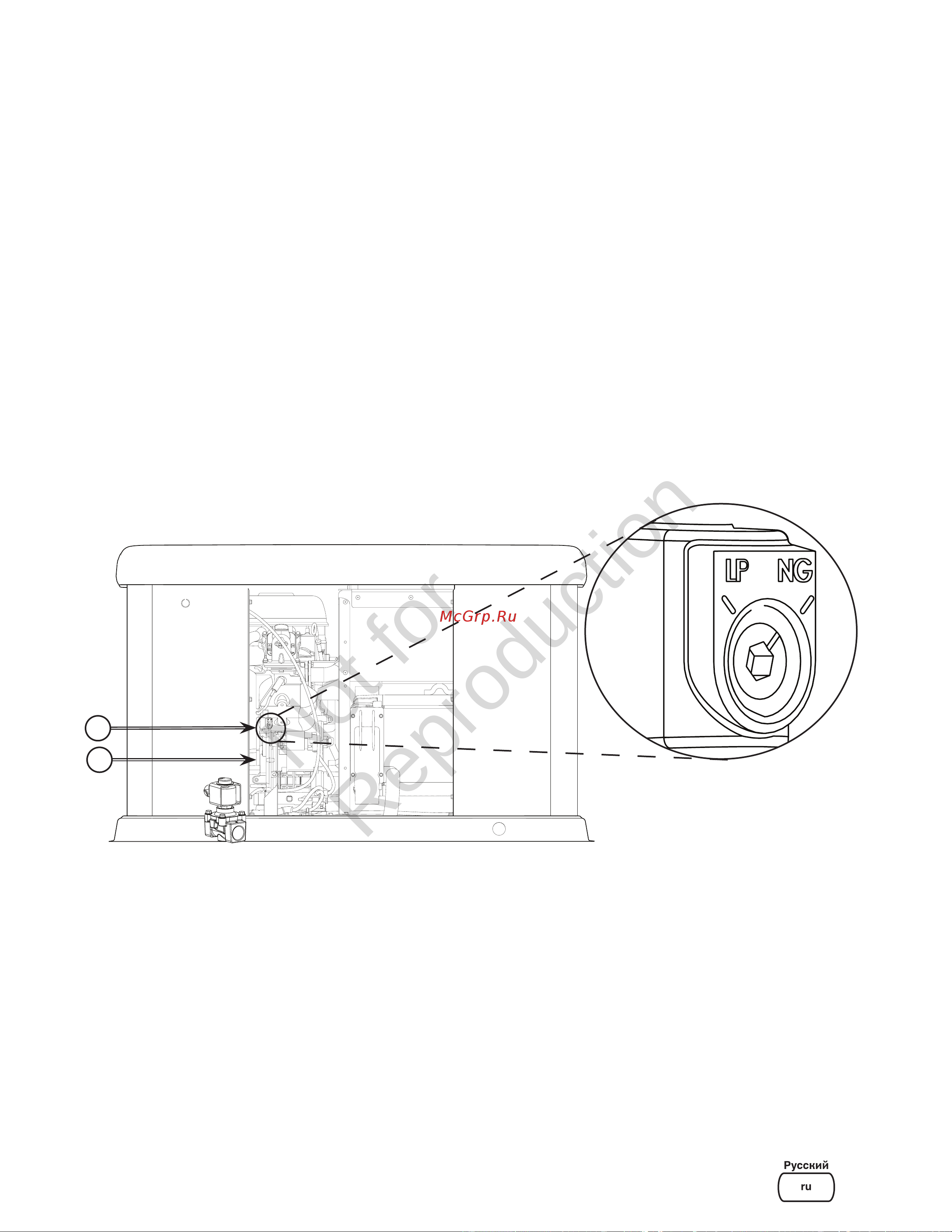 Briggs & Stratton G110 40491 Инструкция к товару онлайн [21/36] 868256