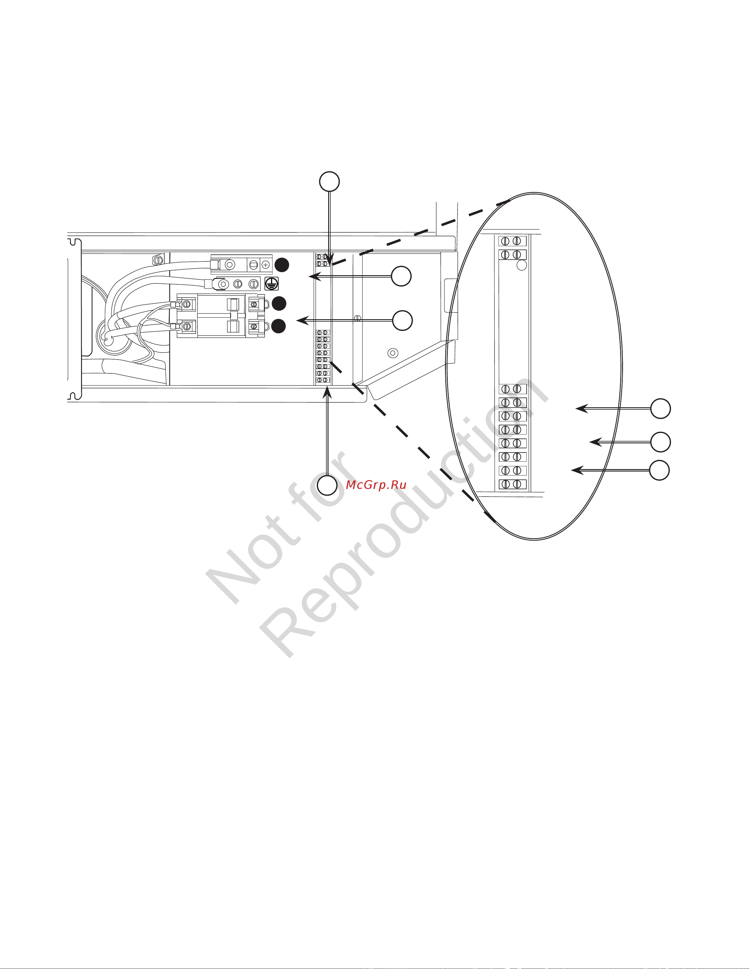 Briggs & Stratton G110 40491 Инструкция к товару онлайн [22/36] 868256