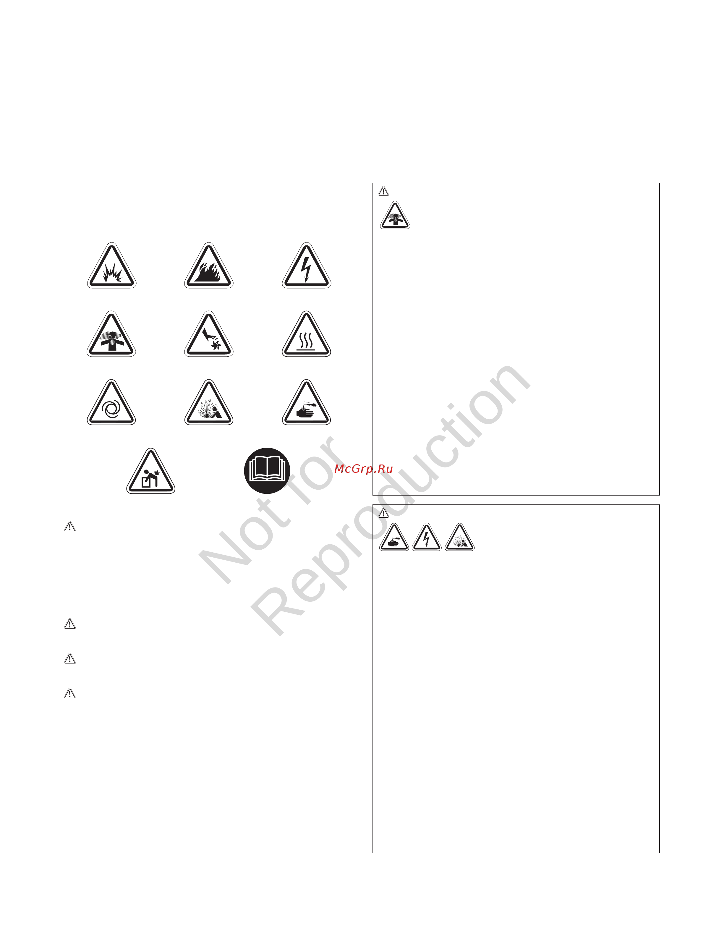 Briggs & Stratton G110 40491 Инструкция к товару онлайн [4/36] 868256