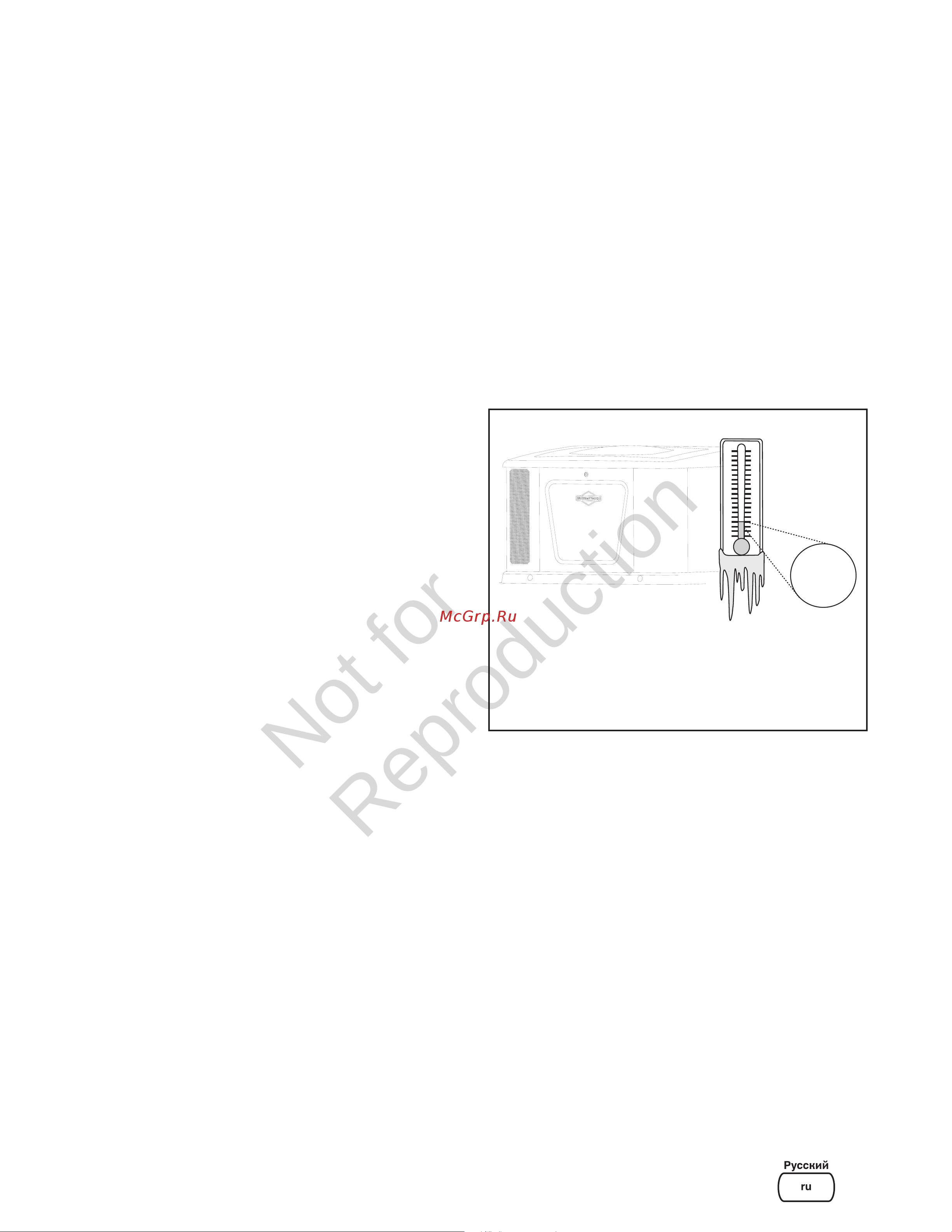 Briggs & Stratton G110 40491 Инструкция к товару онлайн [7/36] 868256