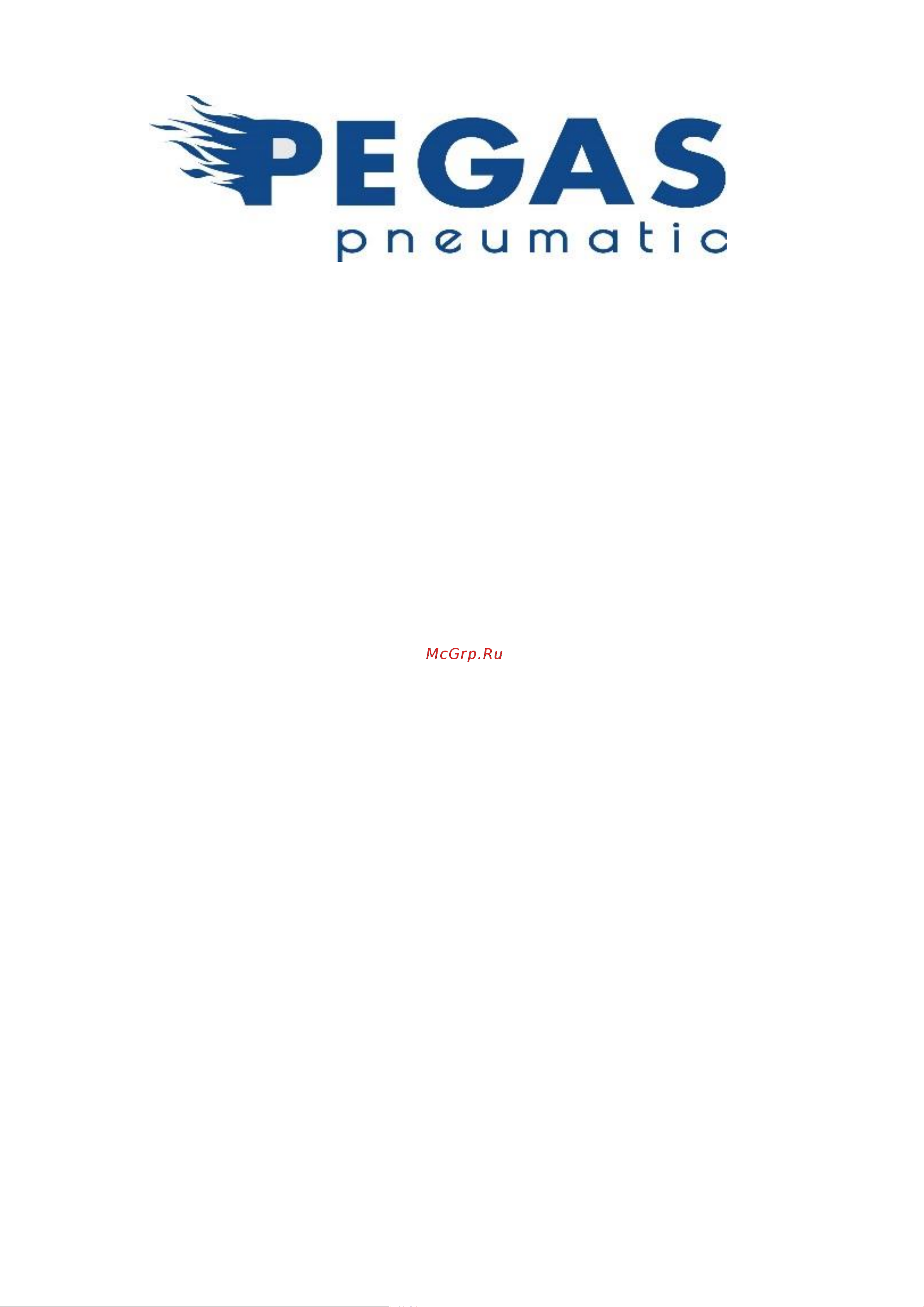 Pegas pneumatic RHF9021 1019 Инструкция к товару онлайн