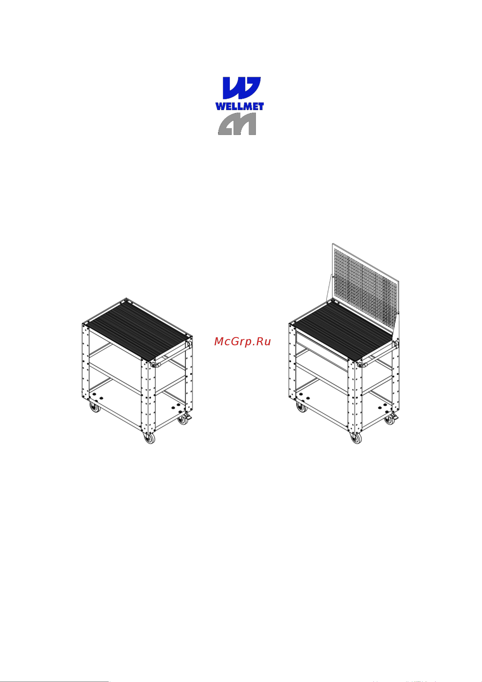 Wellmet ML0C-010011 M-1163007811 Паспорт изделия онлайн