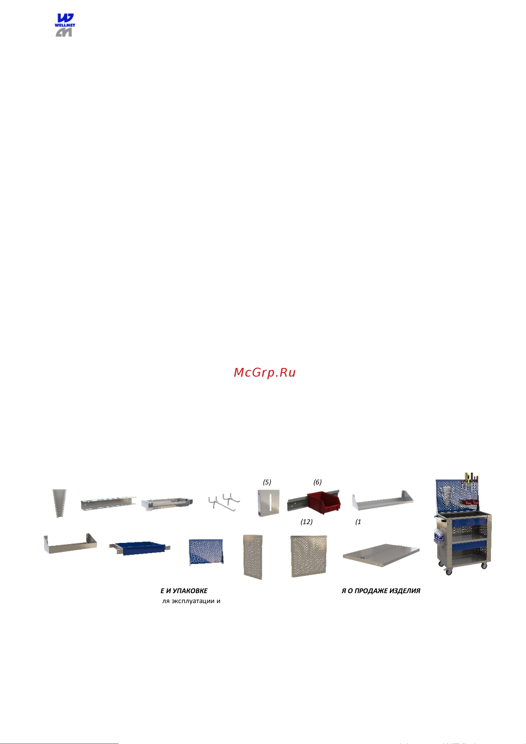 Wellmet ML0C-010011 M-1163007811 Паспорт изделия онлайн [4/4] 871339