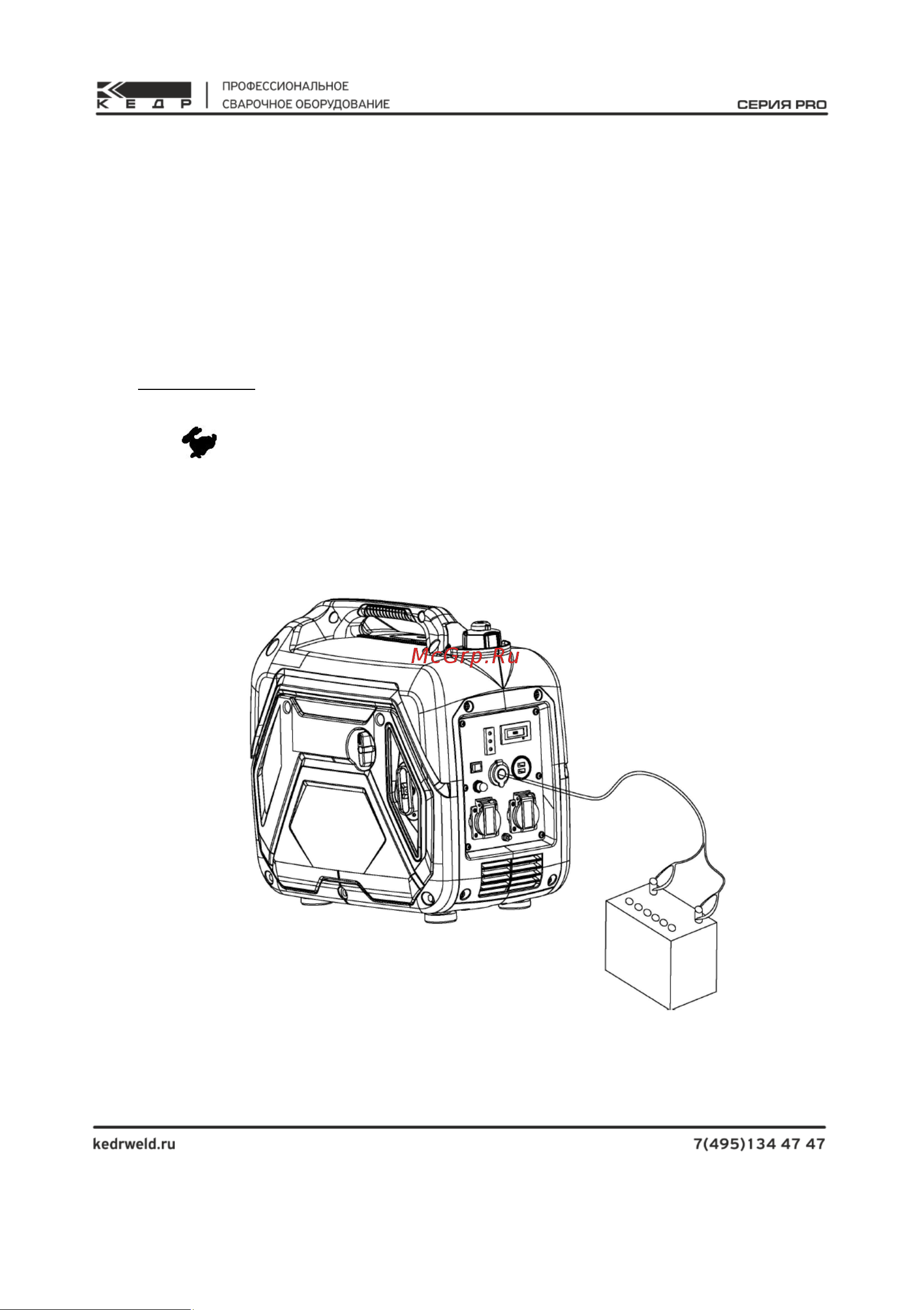 Кедр MultiGen-2000i 8024833 Инструкция к товару онлайн [22/52] 871479