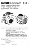 Laski F500H/27 2000059001209 Инструкция к двигателю