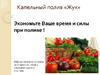Жук от емкости, на 60 растений 4607156364718 Листовка