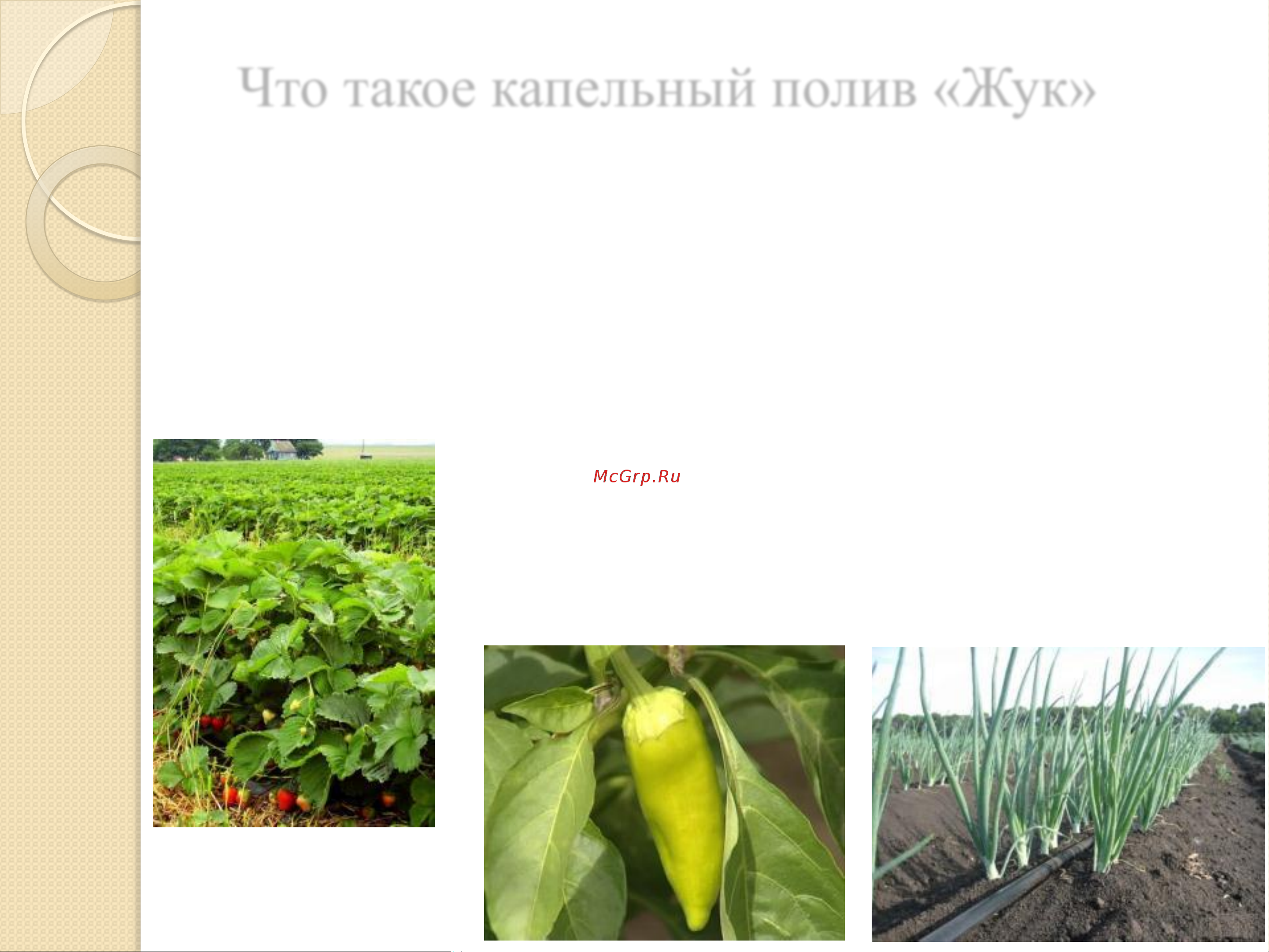 Жук от емкости, на 60 растений 4607156364718 Листовка онлайн [2/12] 872864