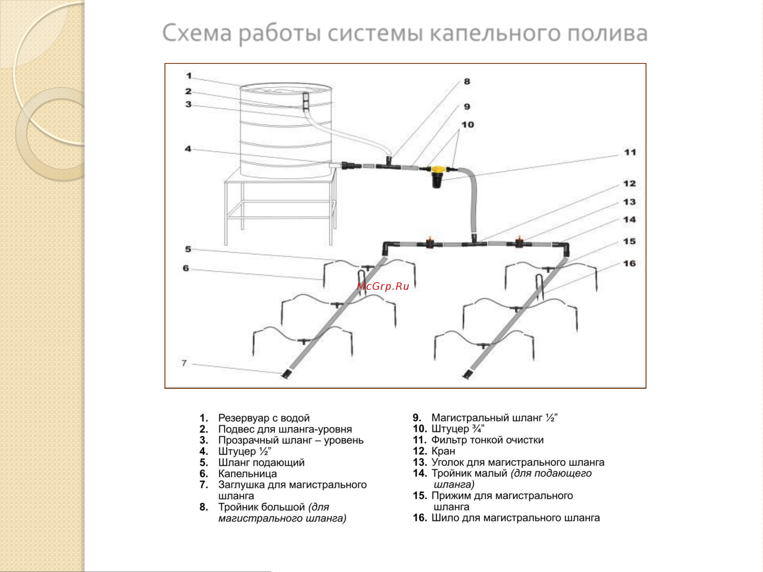 Жук от емкости, на 60 растений 4607156364718 Листовка онлайн [6/12] 872864