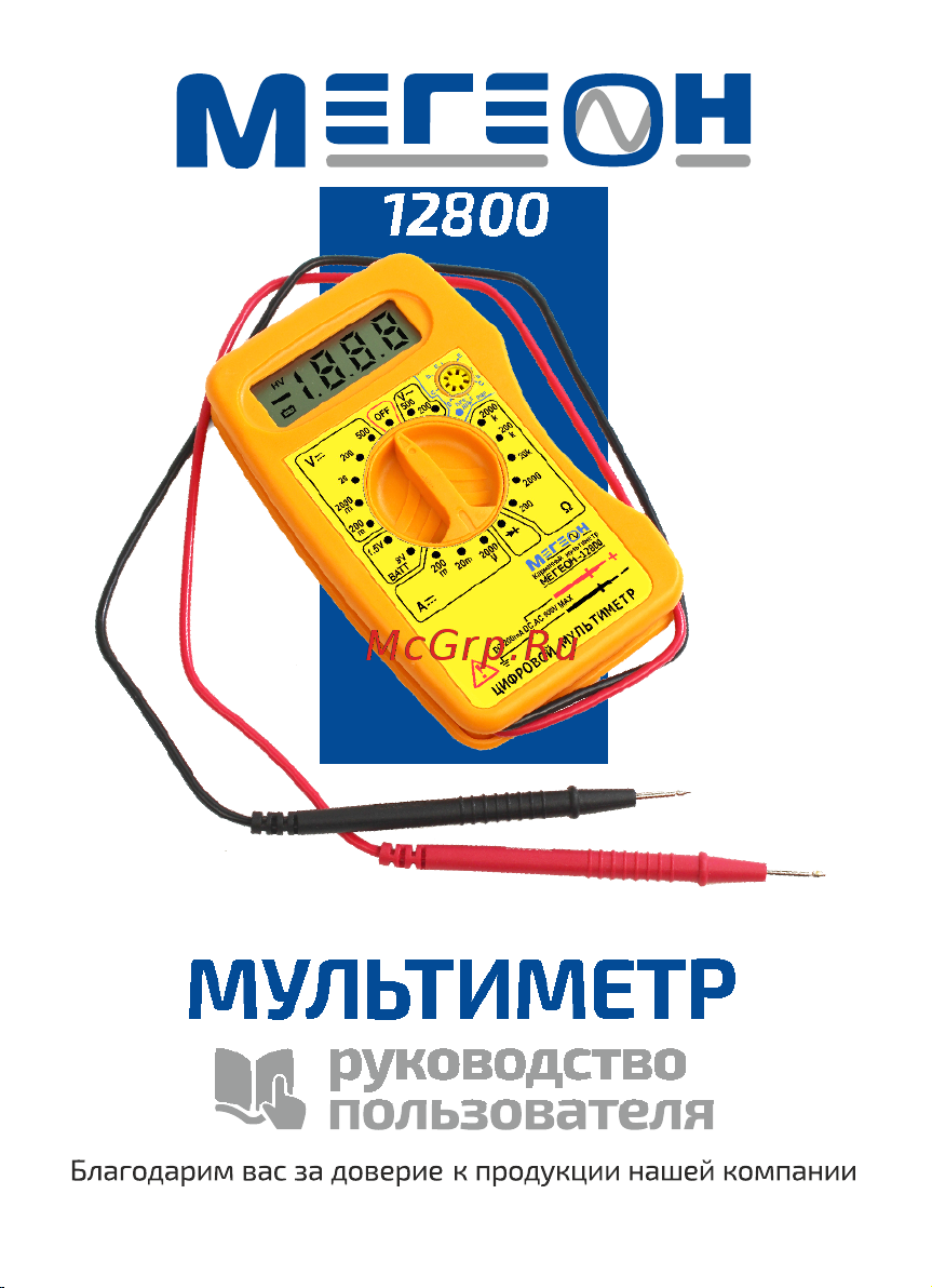 МЕГЕОН 12800 к0000007585 Инструкция онлайн