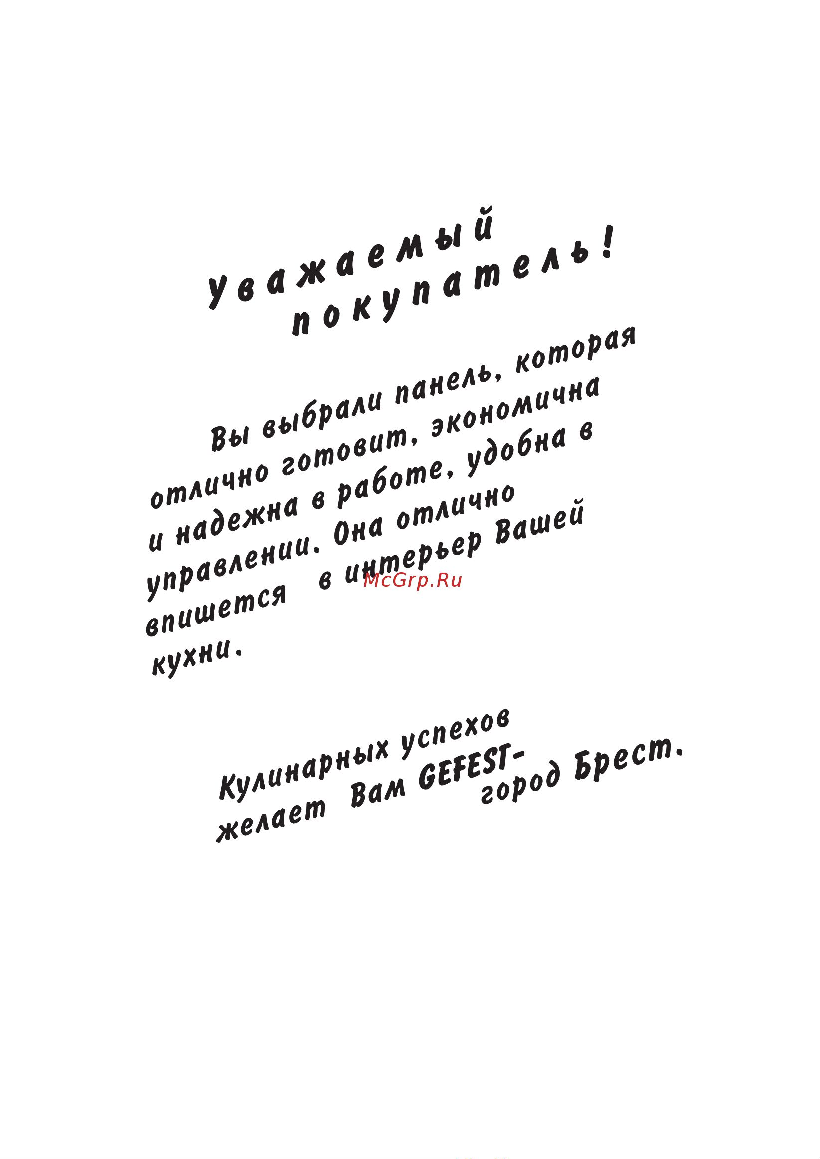 Gefest ПВГ 1002 Руководство по эксплуатации онлайн [2/28] 875128