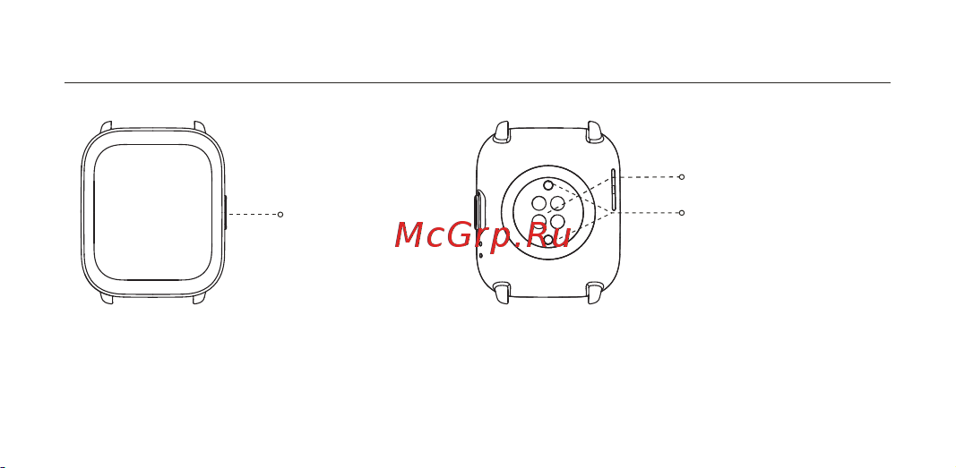 Amazfit Active A2211 Petal Pink Руководство по эксплуатации онлайн [3/12] 875964