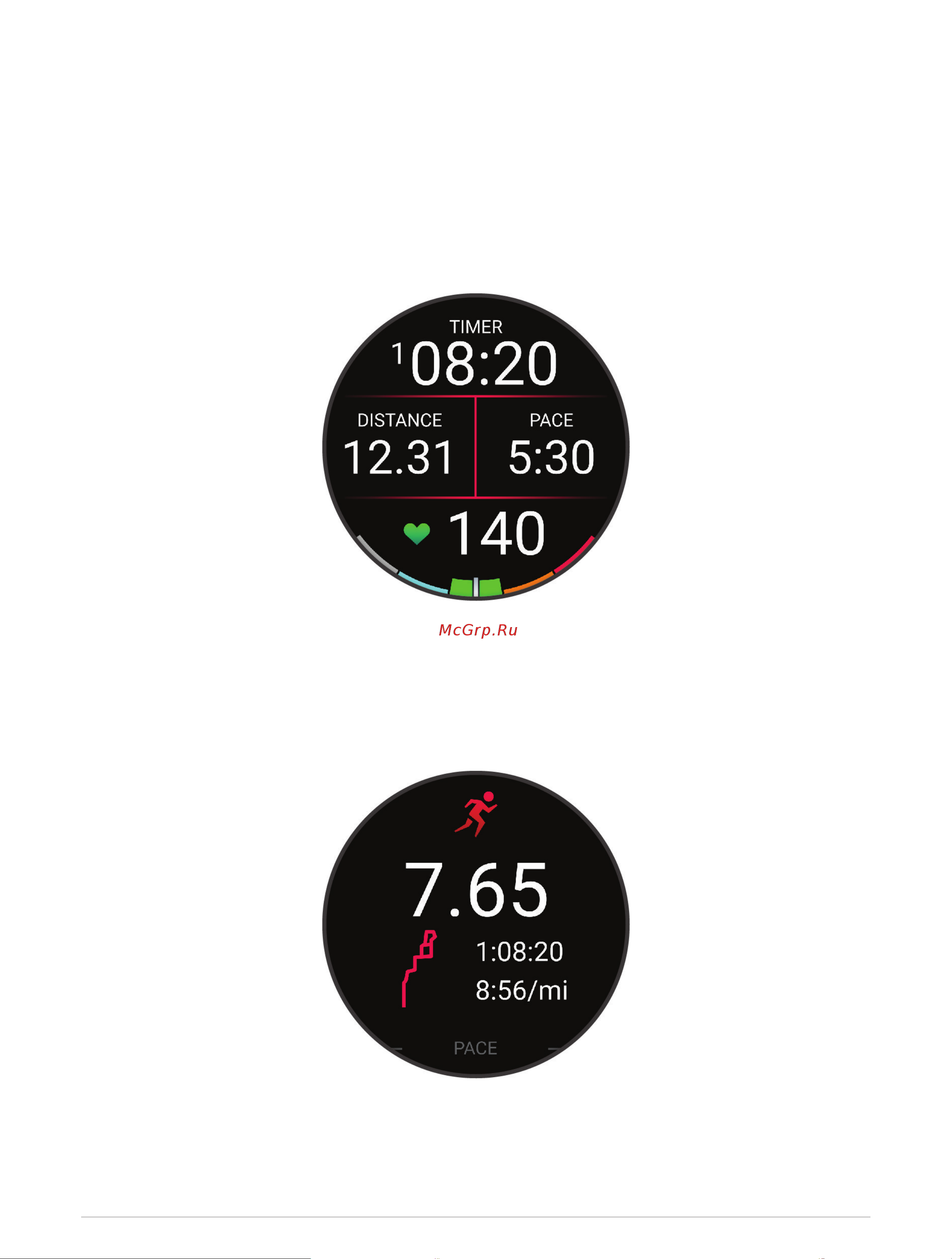 Garmin Forerunner 165 Black Slate Gray Руководство по эксплуатации онлайн [13/116] 880969