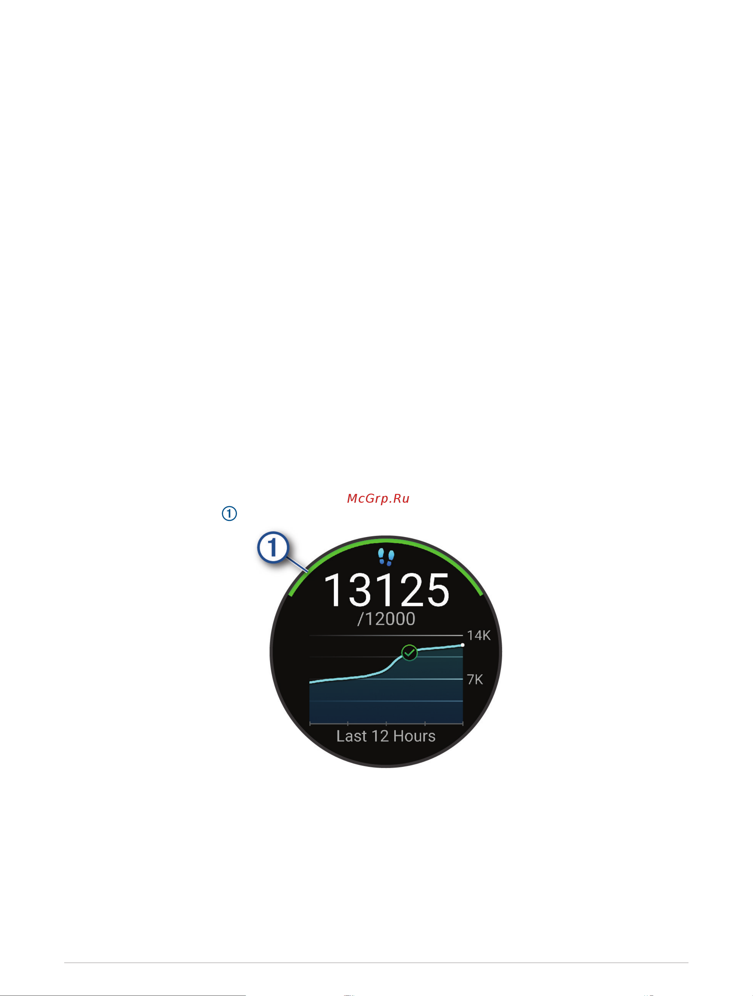 Garmin Forerunner 165 Black Slate Gray Руководство по эксплуатации онлайн [42/116] 880969