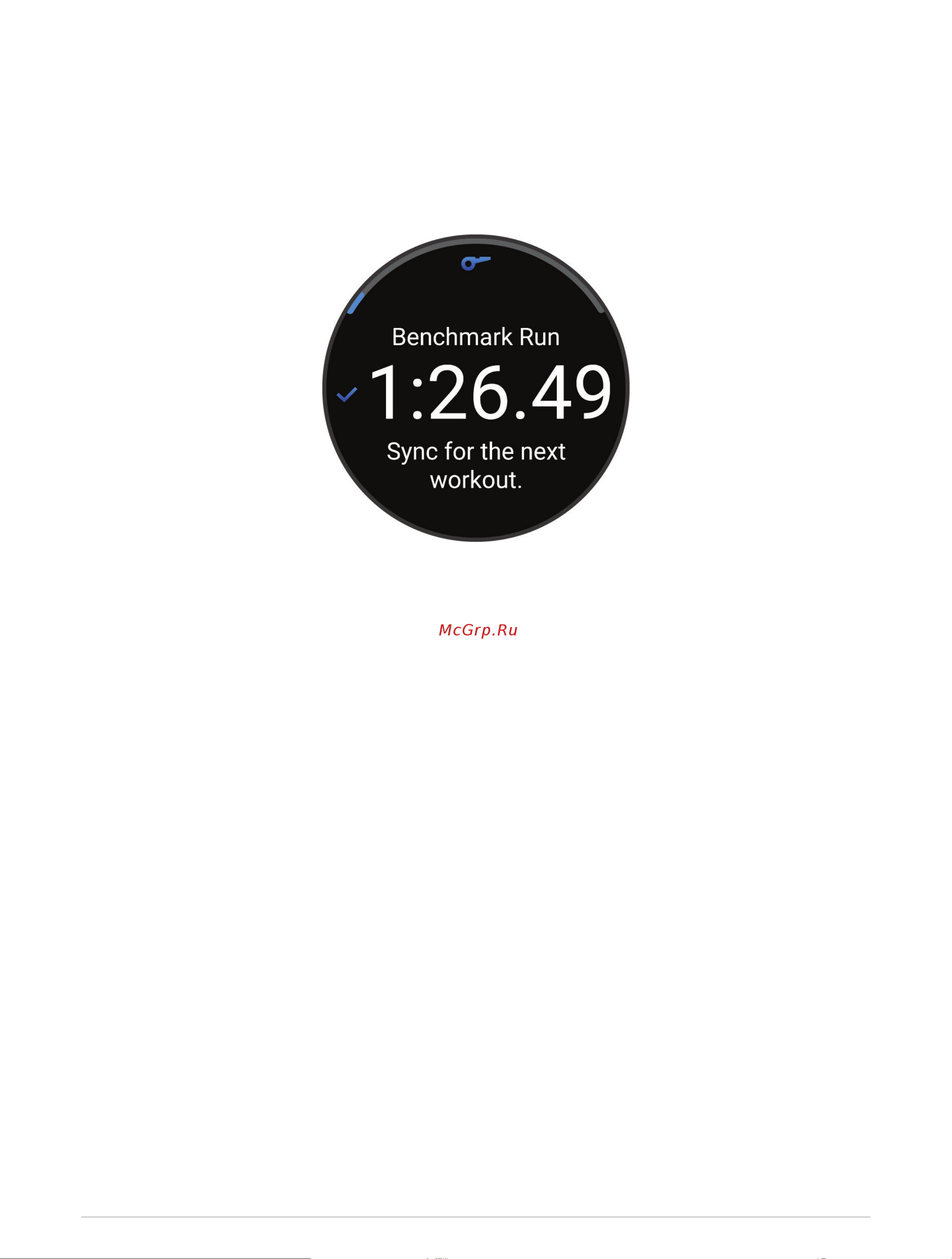Garmin Forerunner 165 Black Slate Gray Руководство по эксплуатации онлайн [47/116] 880969