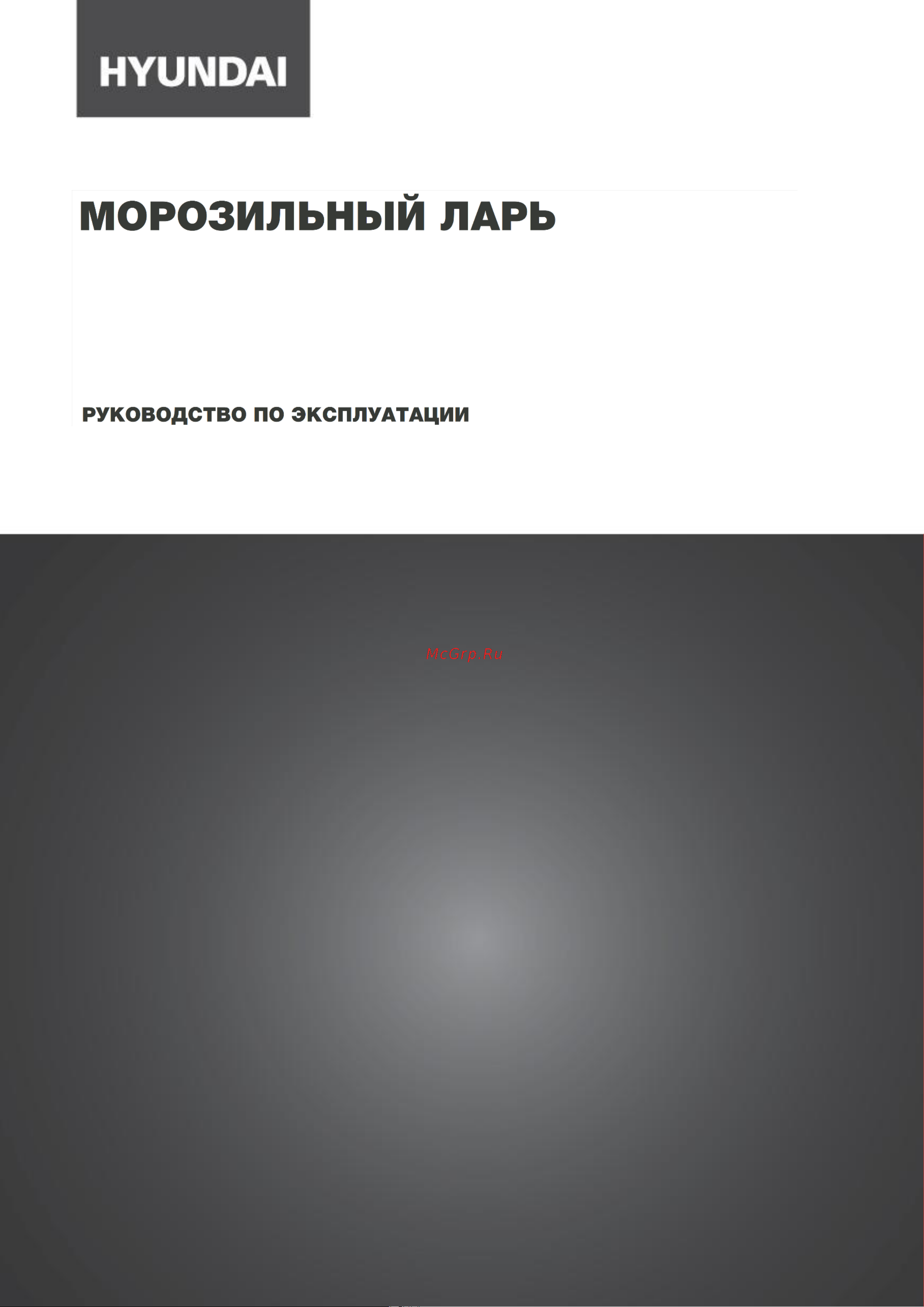 Hyundai CH3091WT Руководство по эксплуатации онлайн [2/17] 876445