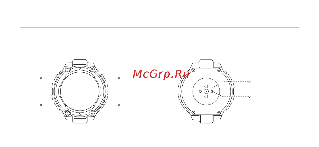 Amazfit T-Rex Руководство по эксплуатации онлайн [3/10] 878785