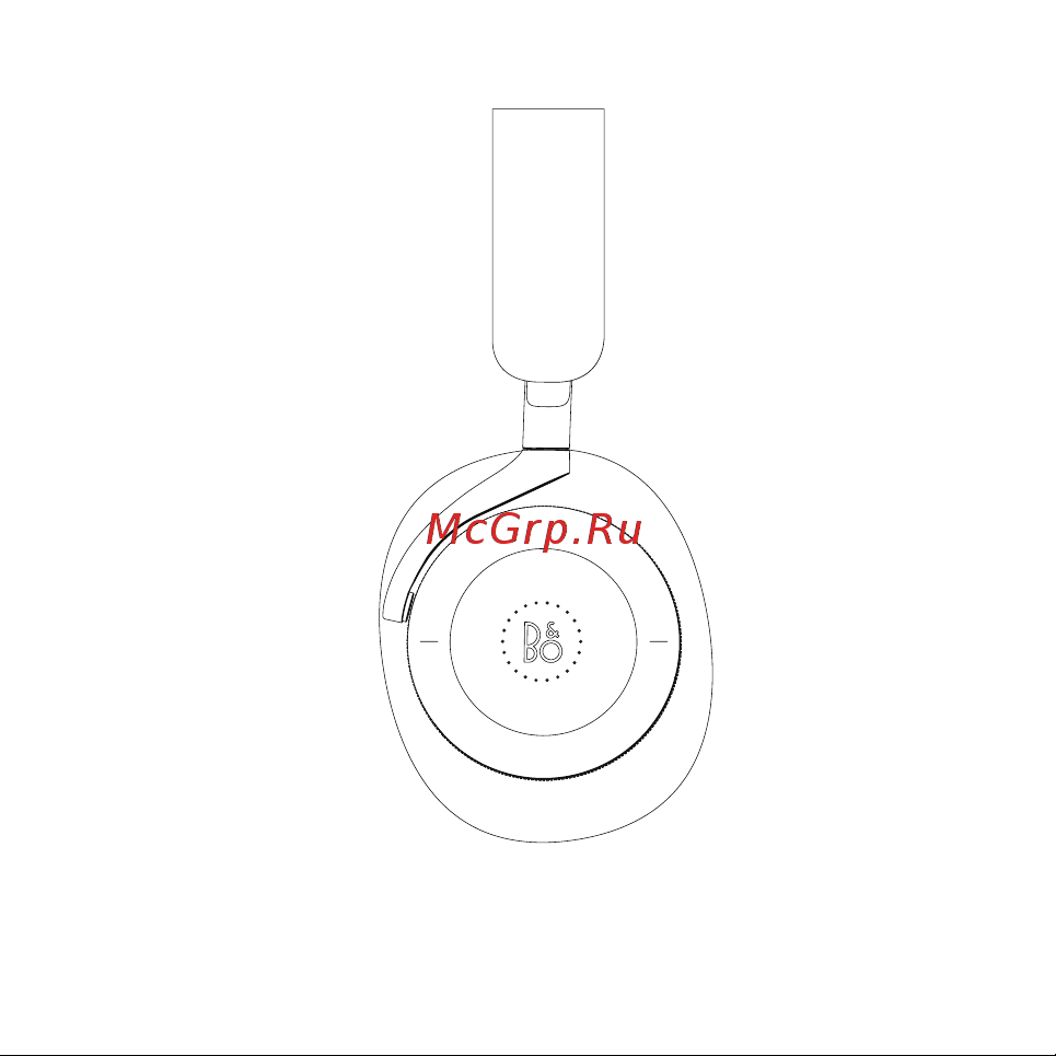 Bang & Olufsen BeoPlay H95 Gold Руководство по эксплуатации онлайн [5/18] 879351