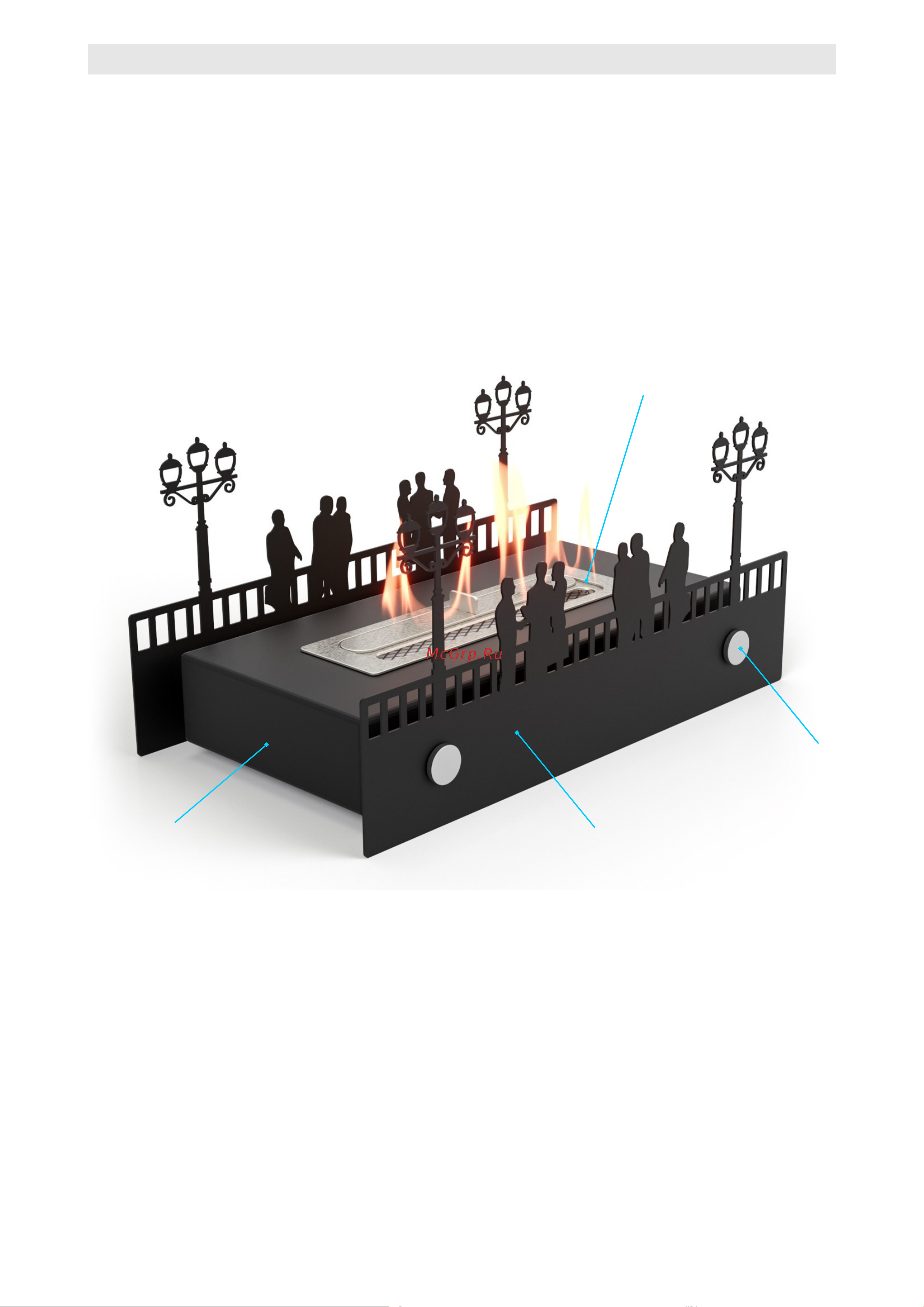 Firelight BFP-T400MB Руководство по эксплуатации онлайн [4/6] 883632