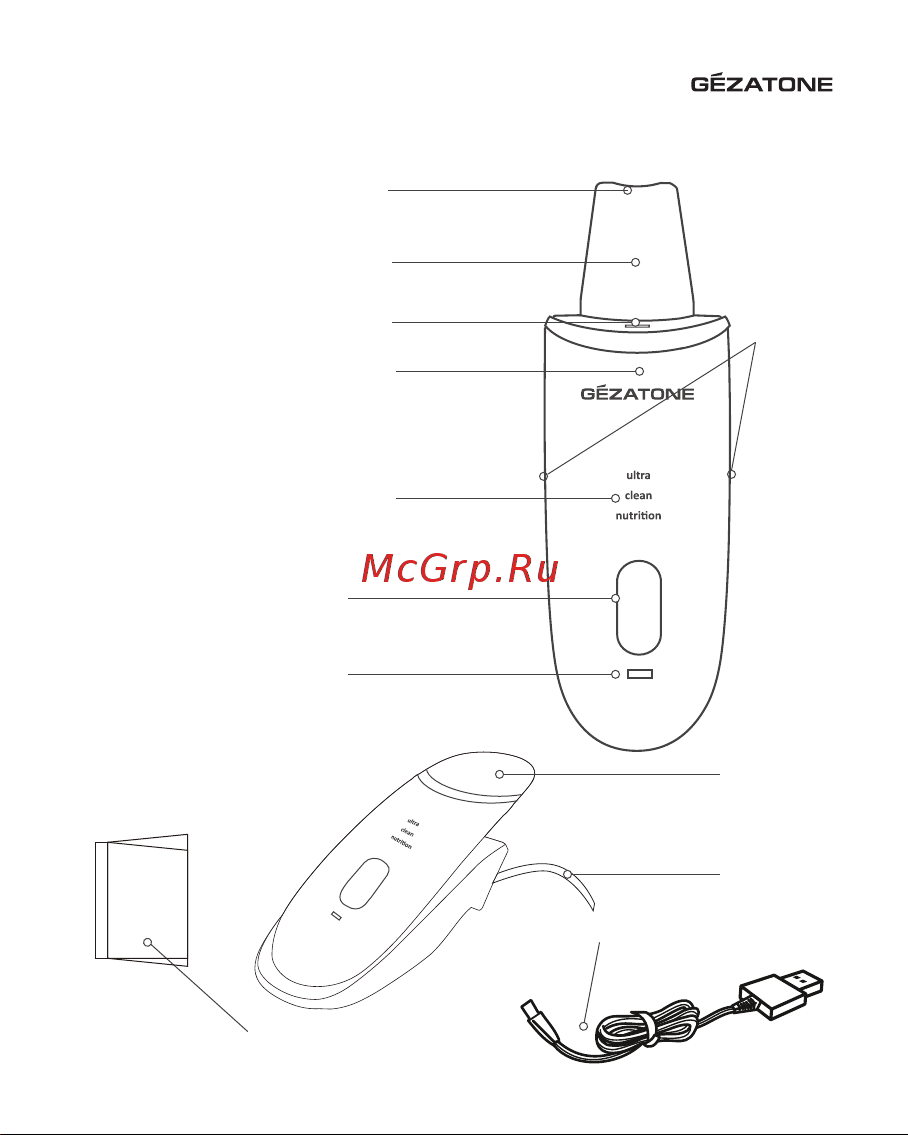 Gezatone Bio Sonic 1007 Руководство по эксплуатации онлайн [7/38] 885357