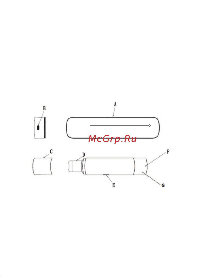 Gezatone Bio Sonic 733 Руководство по эксплуатации онлайн [5/19] 885391