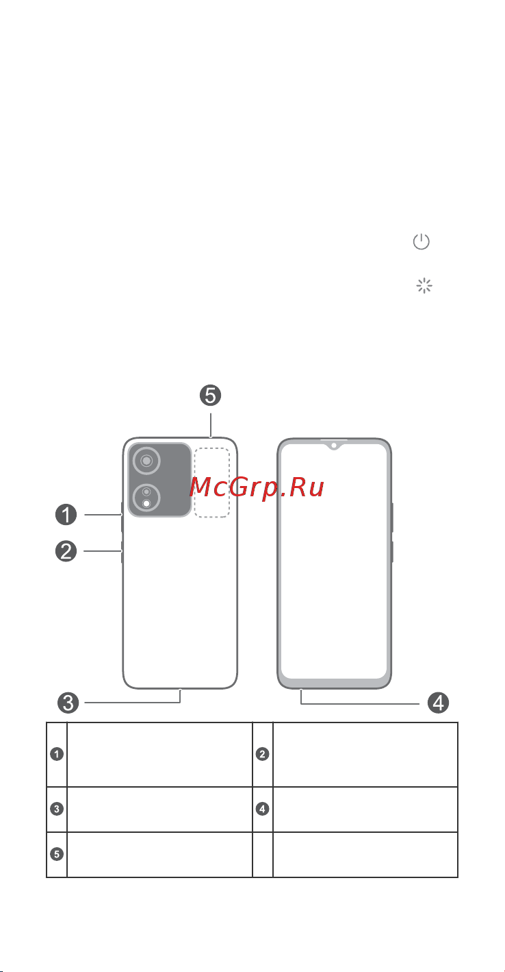 Honor X5 PLUS 4/64GB Green Руководство по эксплуатации онлайн [19/42] 886476