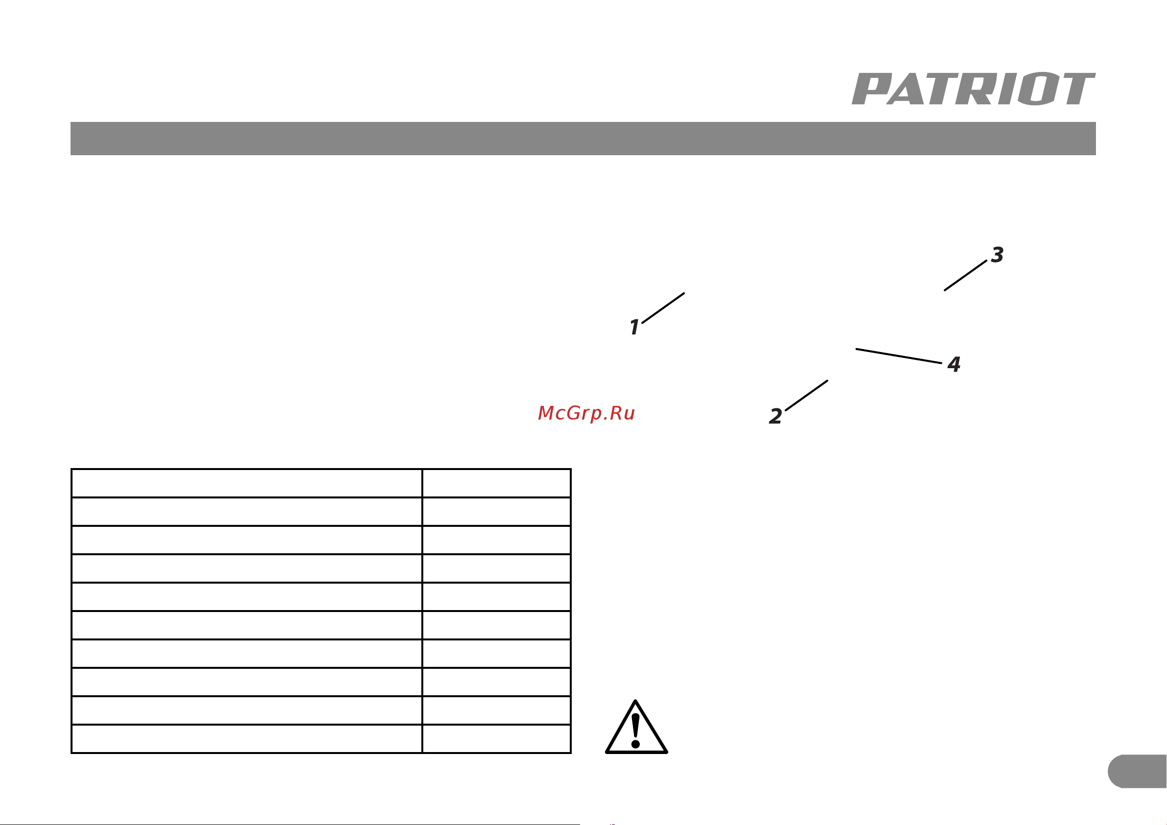 Patriot FS 900 Руководство по эксплуатации онлайн [4/9] 886816