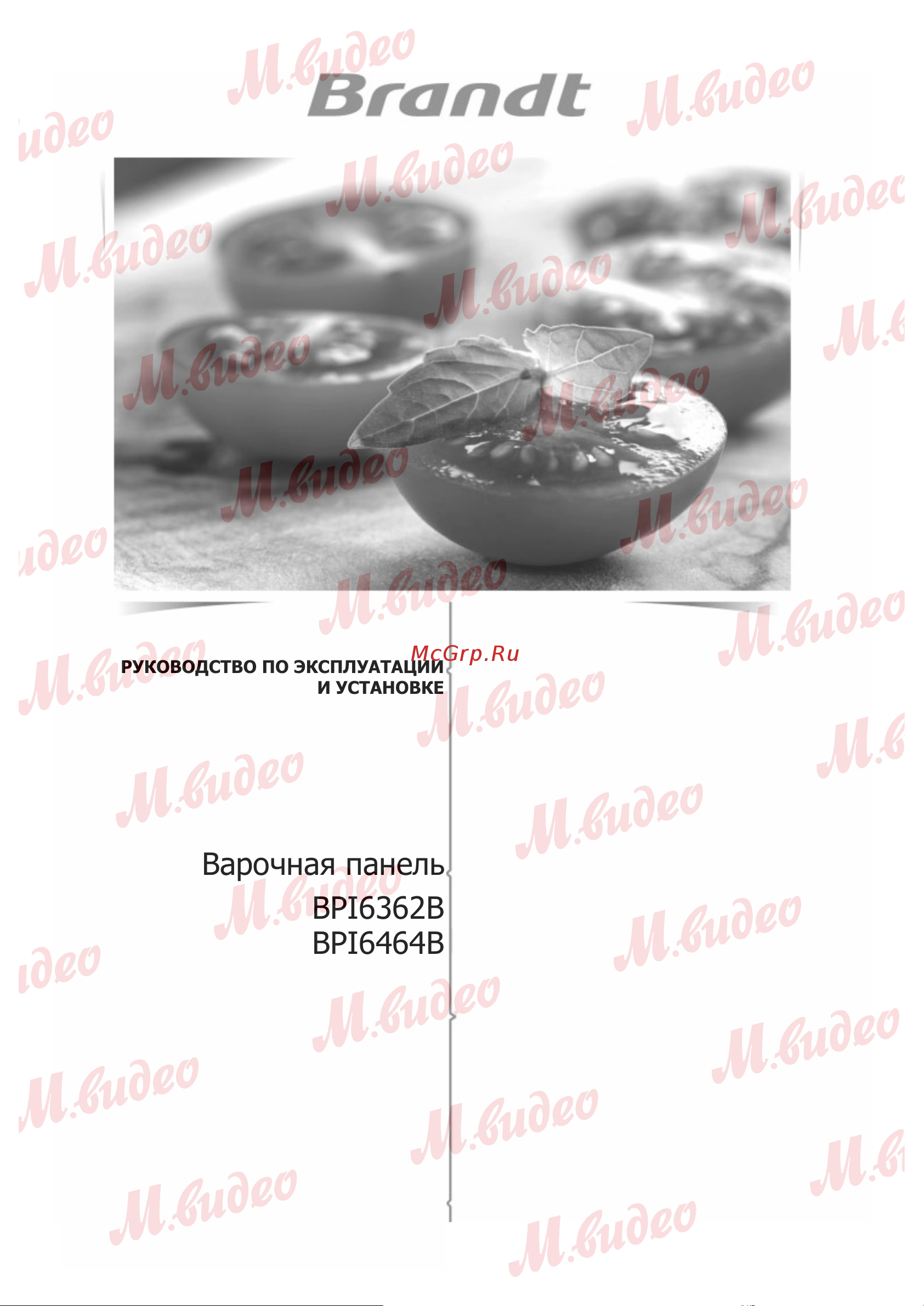 Brandt BPI6464B Руководство по эксплуатации онлайн