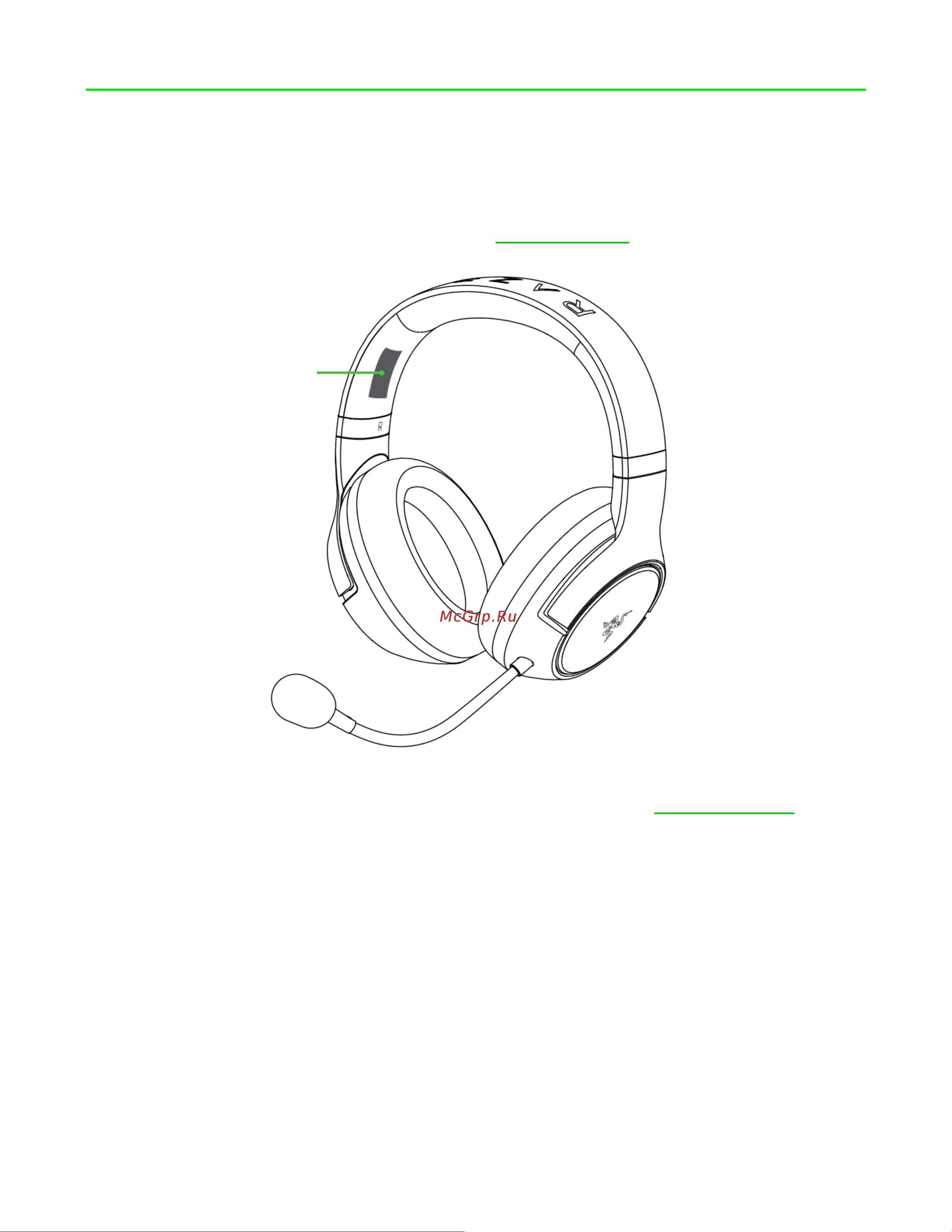 Razer Kaira (RZ04-03480100-R3M1) Руководство по эксплуатации онлайн [6/22] 887321