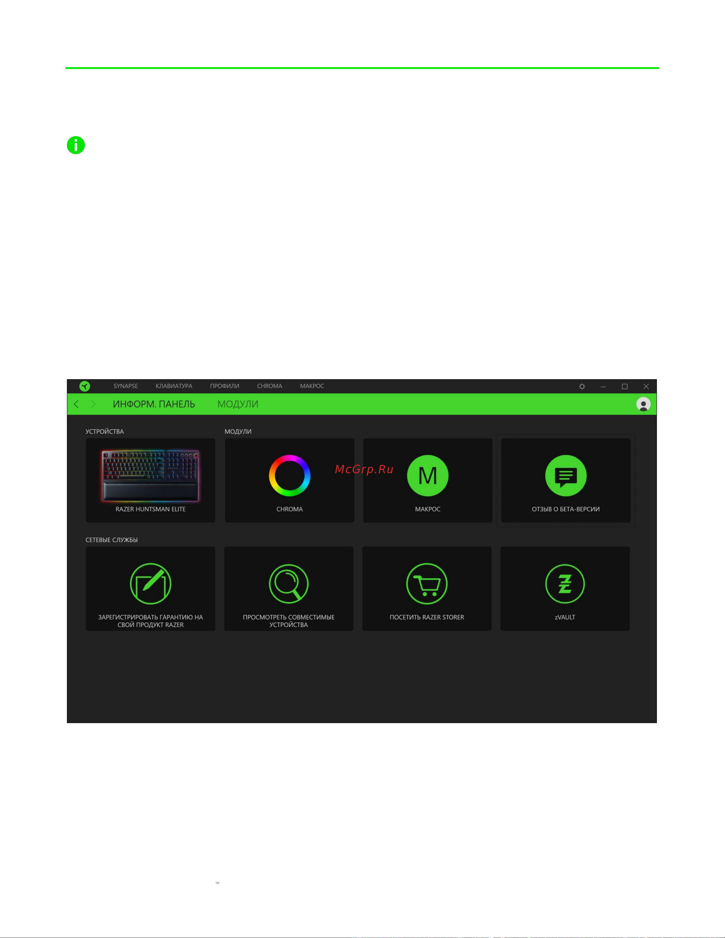 Razer Huntsman Elite (RZ03-01870700-R3R1) Руководство по эксплуатации онлайн [12/40] 887341