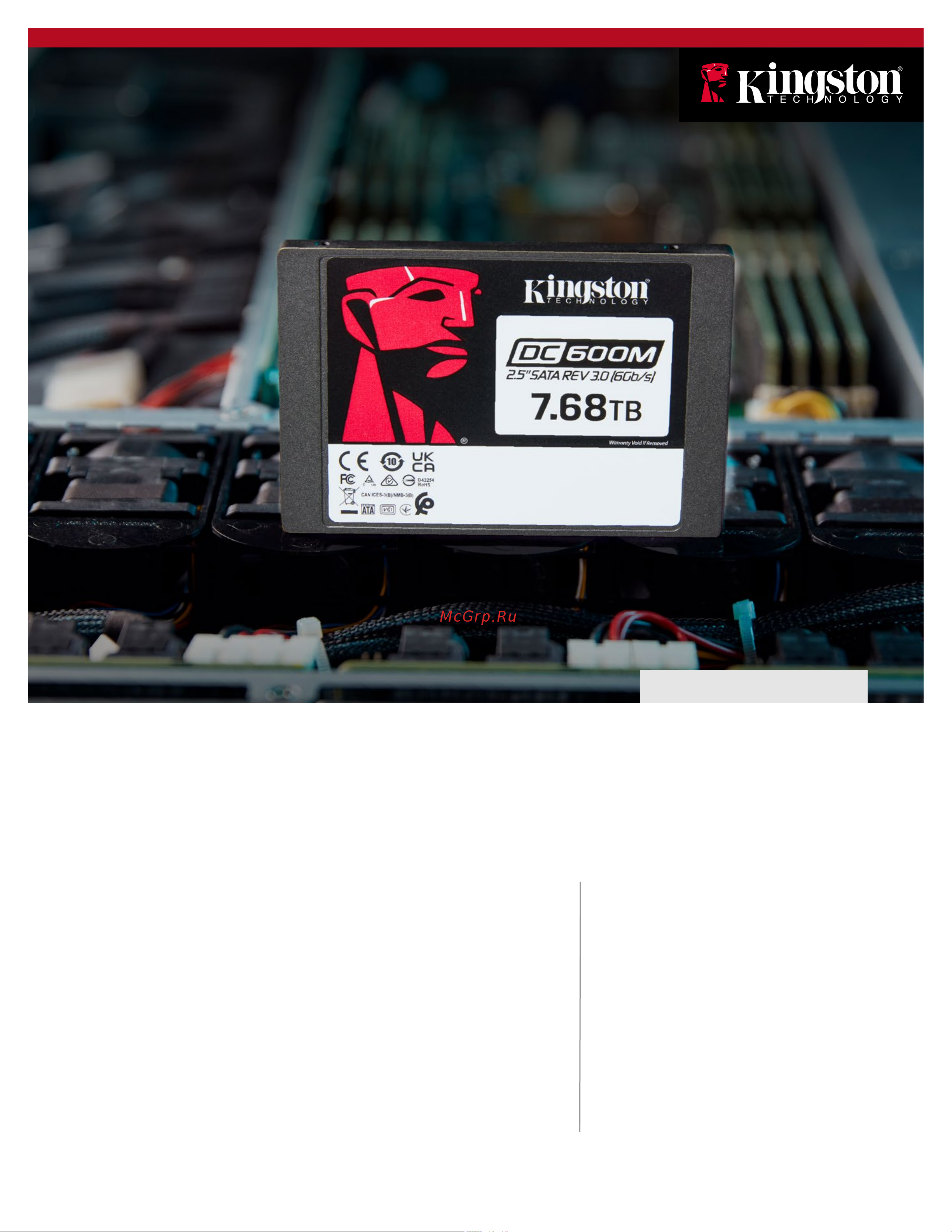 Kingston DC600M 480GB (SEDC600M/480G) Руководство по эксплуатации онлайн