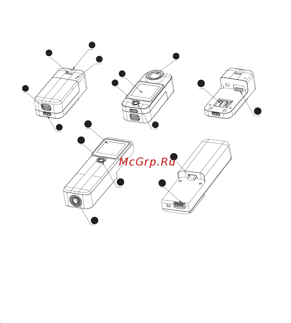 SJCAM C300 Руководство по эксплуатации онлайн [4/68] 889465