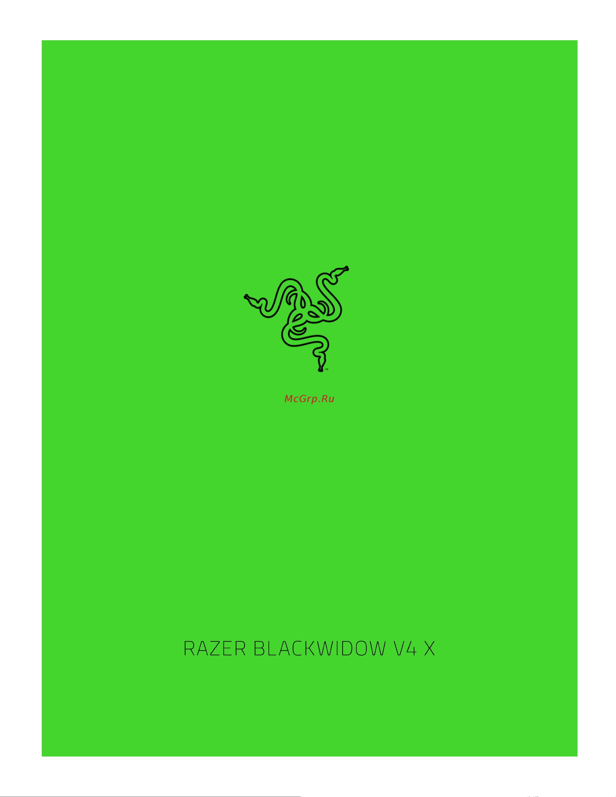 Razer BlackWidow V4 X Green Switch (RZ03-04700800-R3R1) Руководство по эксплуатации онлайн