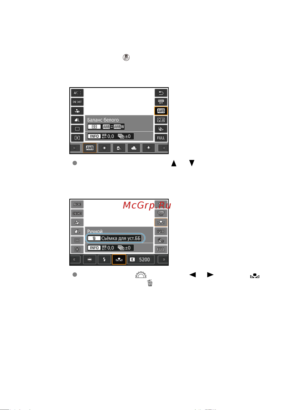 Canon EOS R8 Body Руководство по эксплуатации онлайн [242/989] 890544
