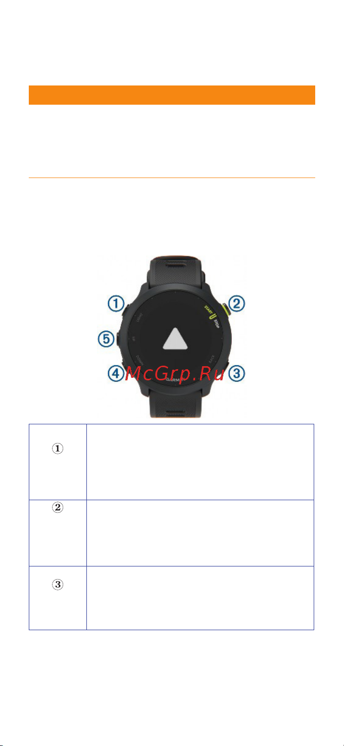 Garmin Forerunner 55 Gray Руководство по эксплуатации онлайн [2/89] 891070