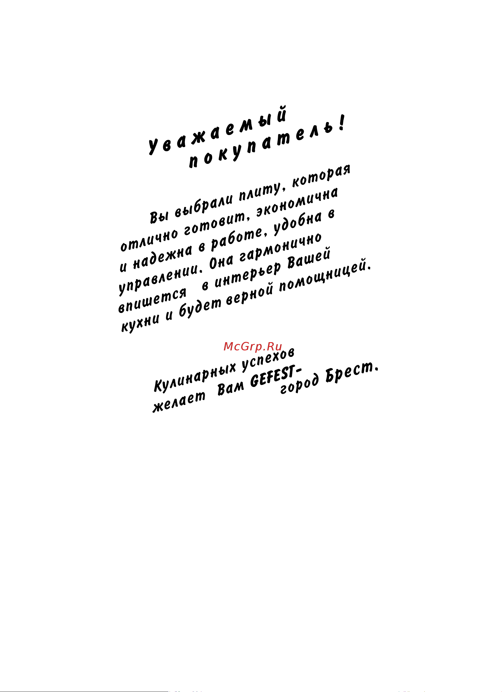 Gefest ПГ 6500-03 0284 черный/нержавеющая сталь Руководство по эксплуатации онлайн [2/36] 892951