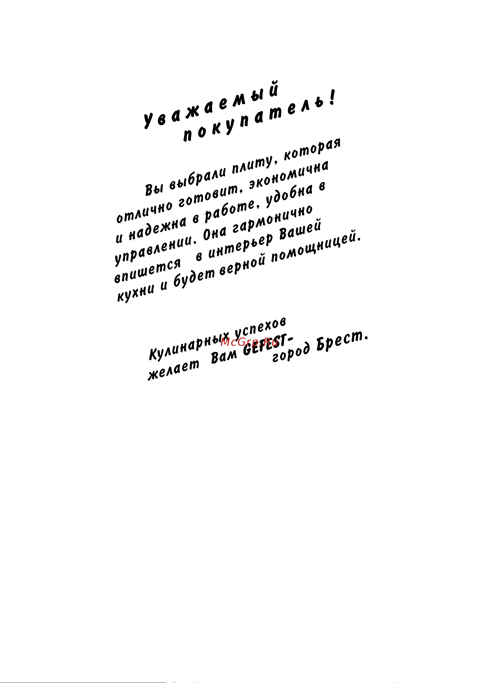 Gefest ПГЭ 5102-01 0198 белая Руководство по эксплуатации онлайн [2/48] 893126