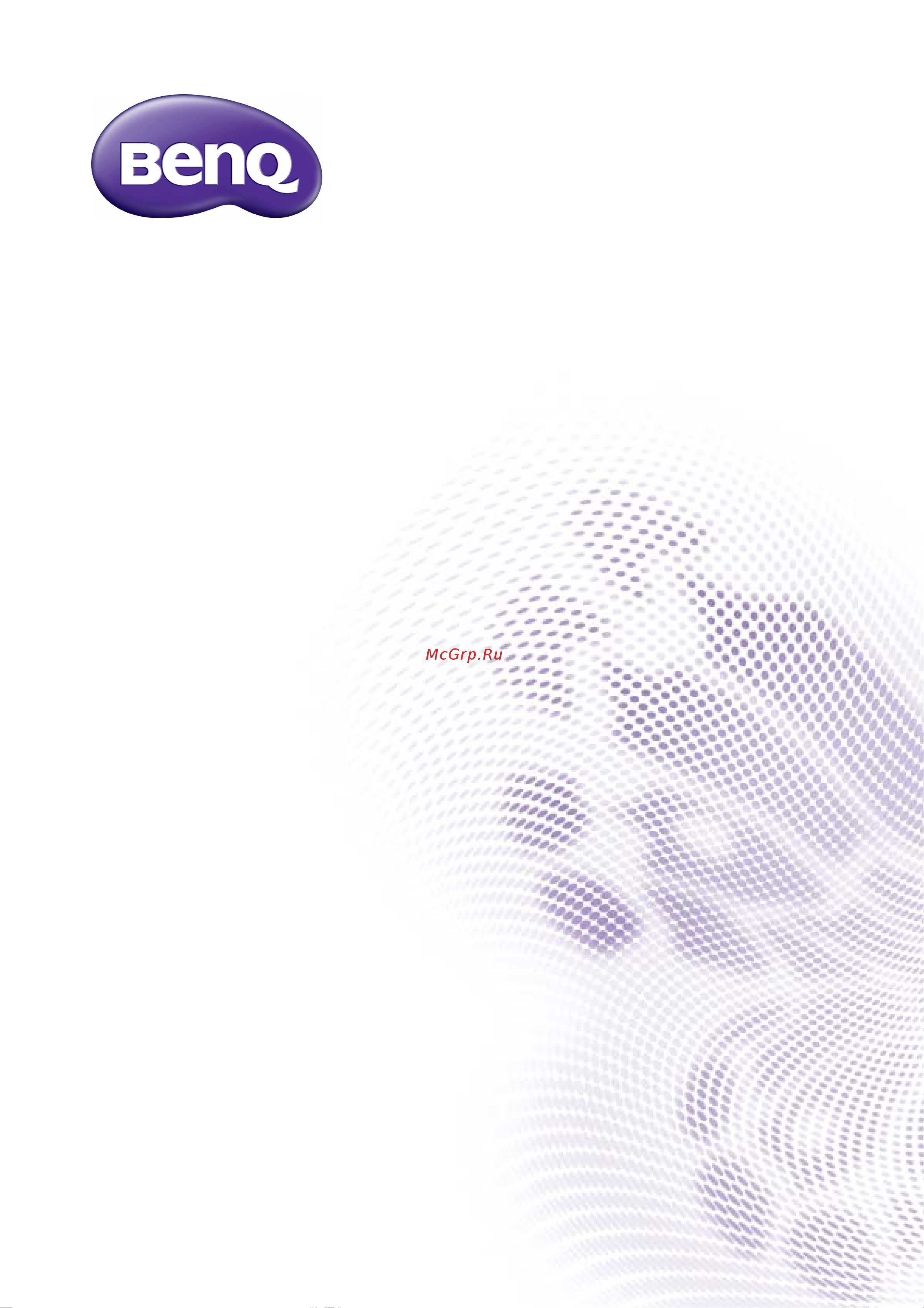 Benq 24