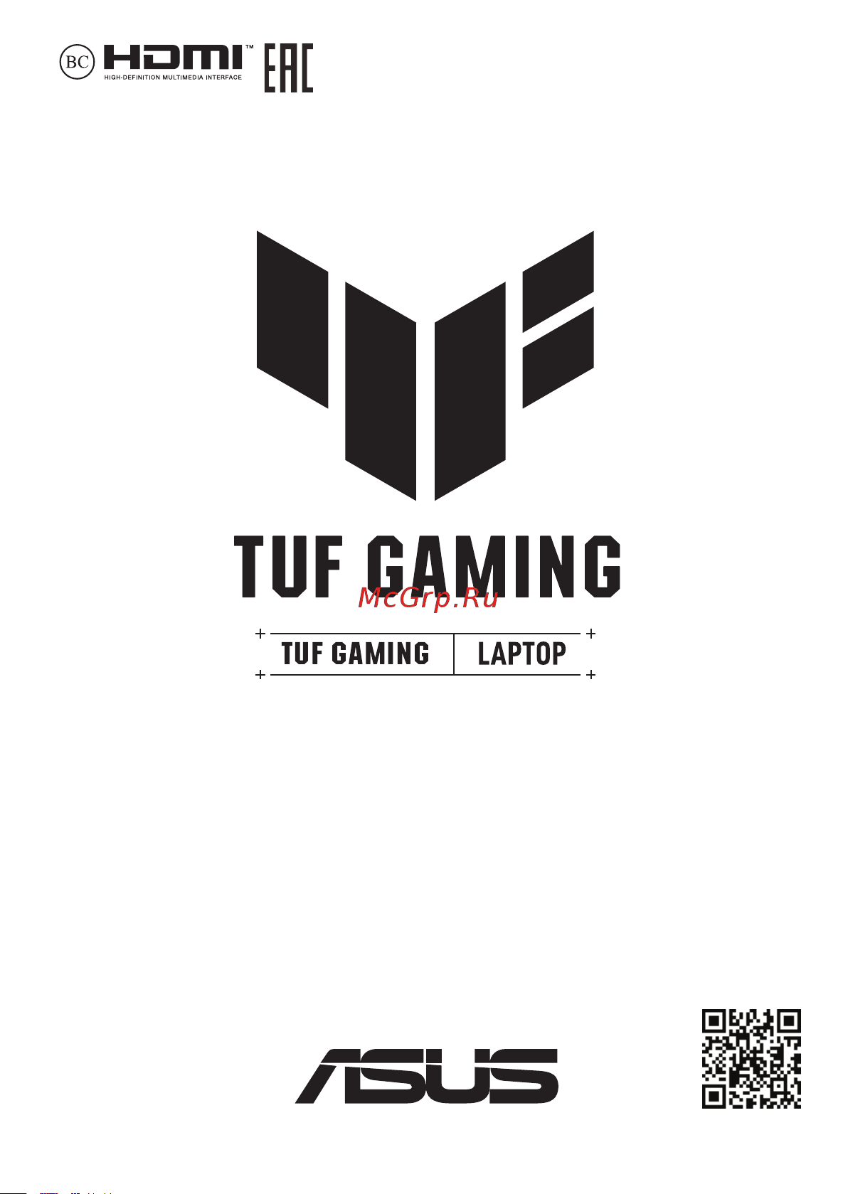 Asus TUF Gaming A17 FA707NU-HX071/17.3