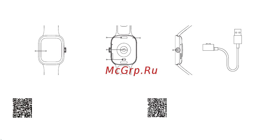 Redmi Watch 4 Obsidian Black (BHR7854GL) Руководство по эксплуатации онлайн [5/176] 901645