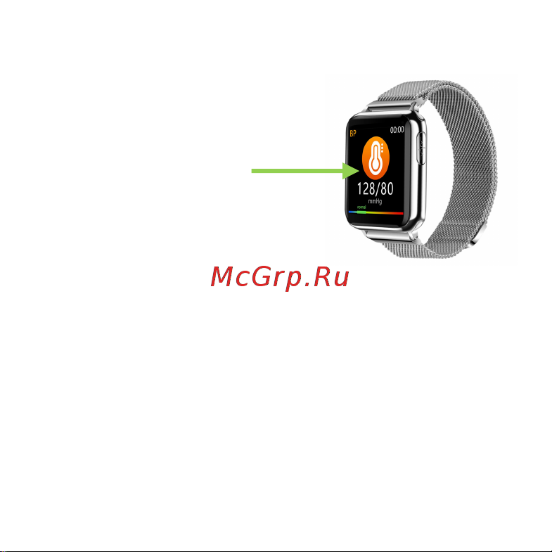 Healthband Health Watch Pro №5 Premium Strap серебристые Руководство по эксплуатации онлайн [5/12] 899073