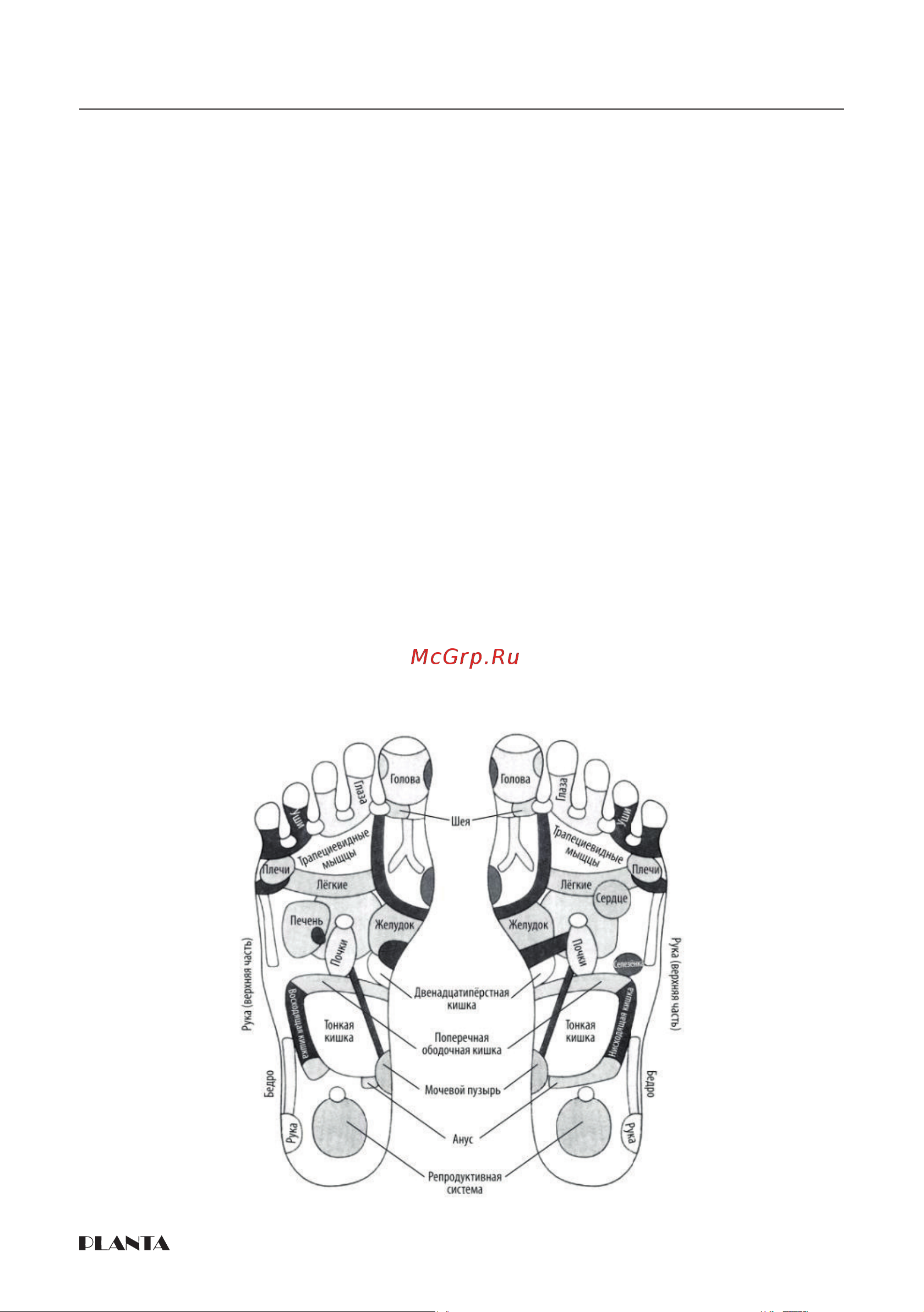 Planta MF-30 Руководство по эксплуатации онлайн [6/20] 899539